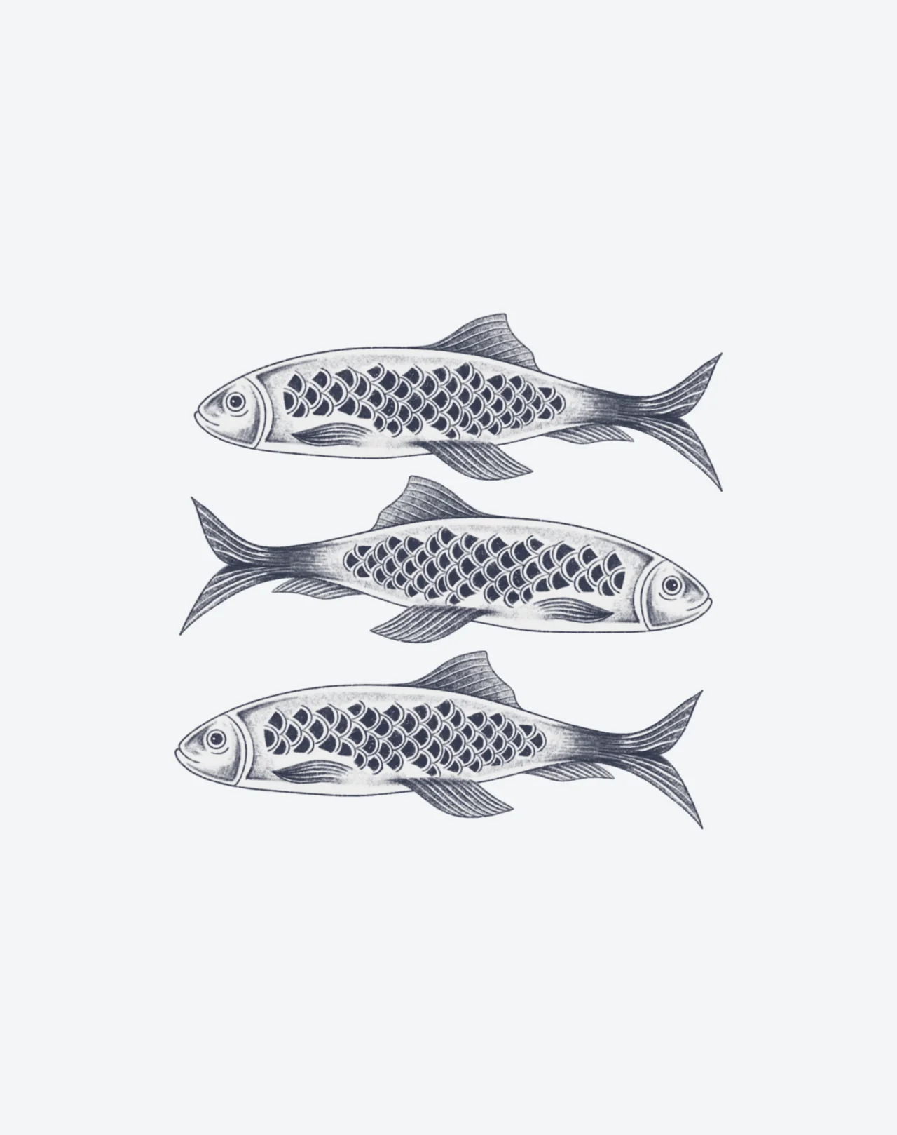 3Fish - Image 2