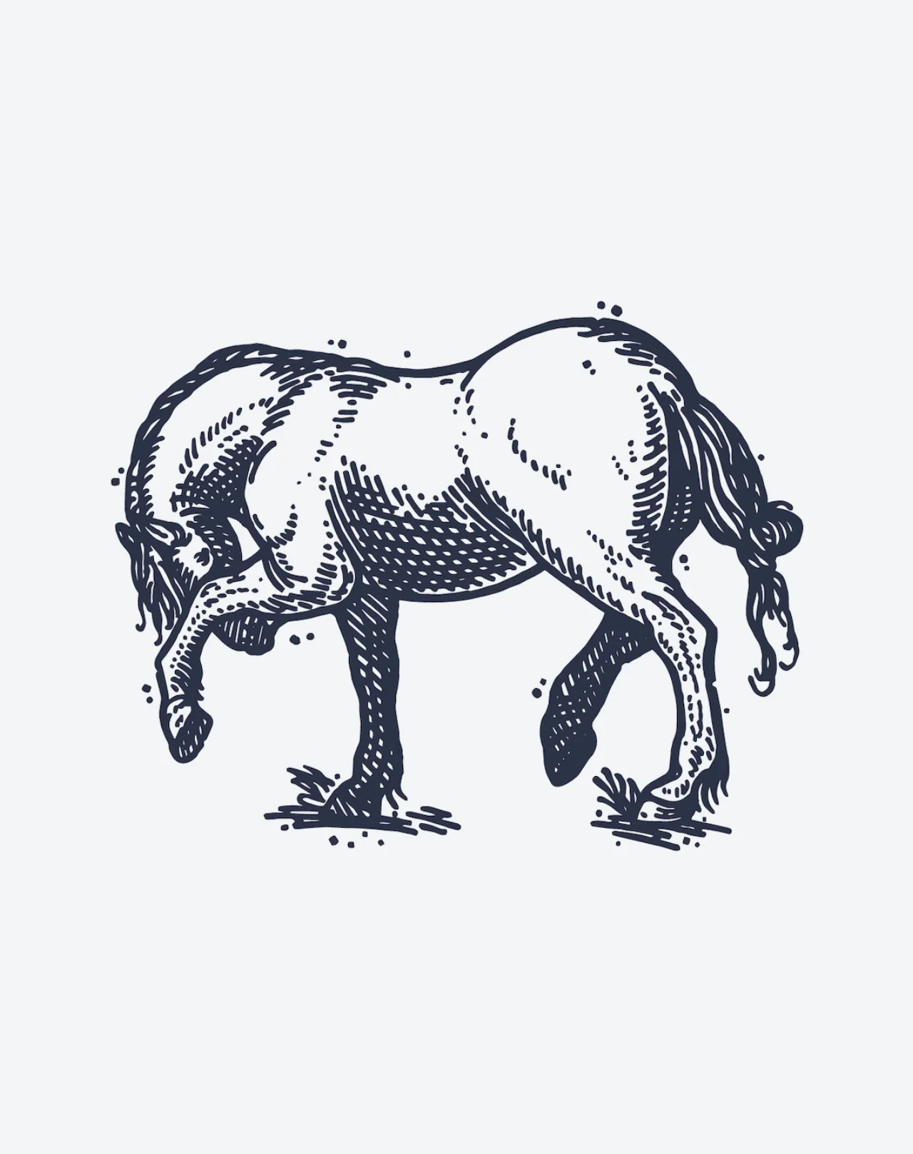 Bashful Horse - Image 2