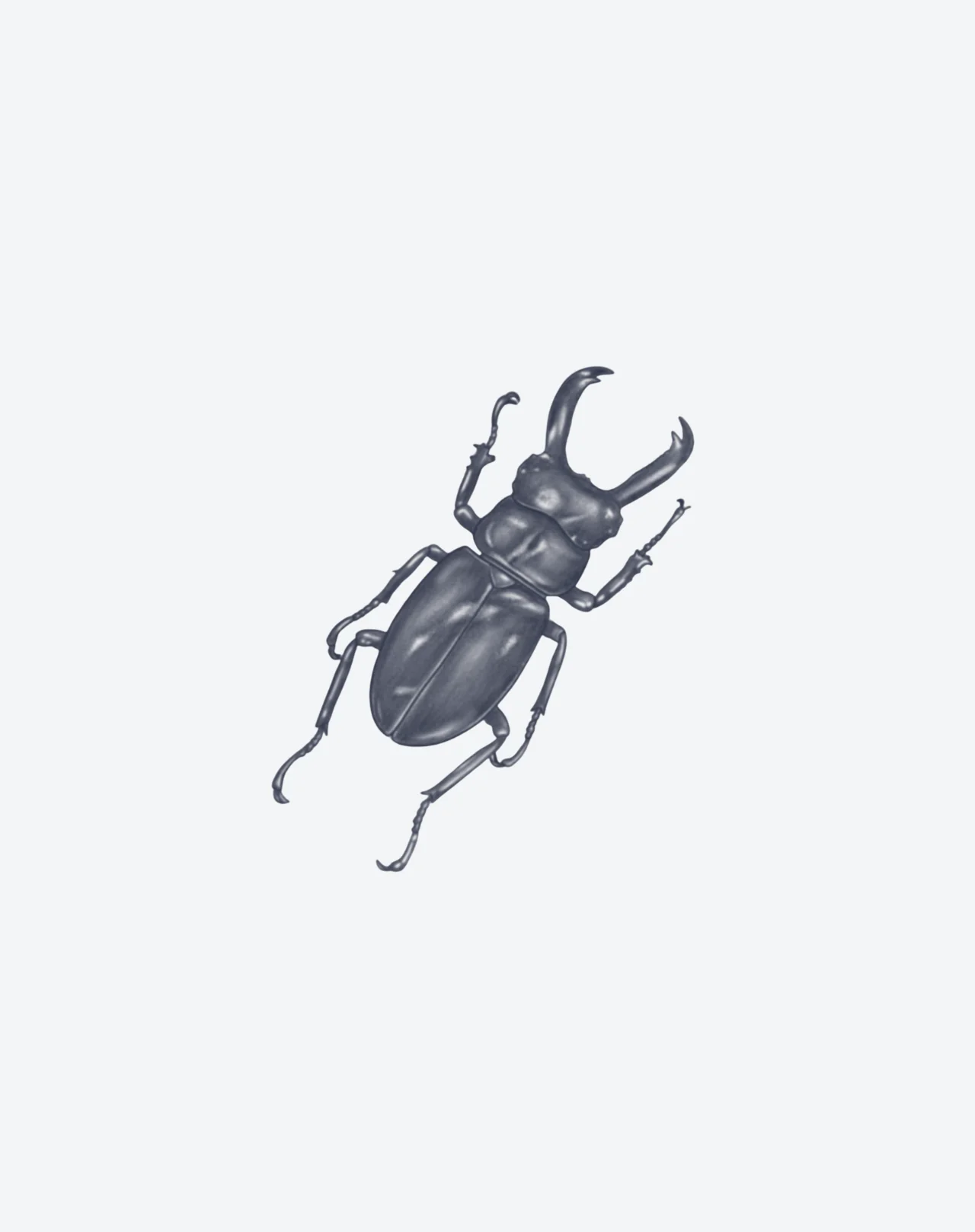 Beetle Crest - Image 2