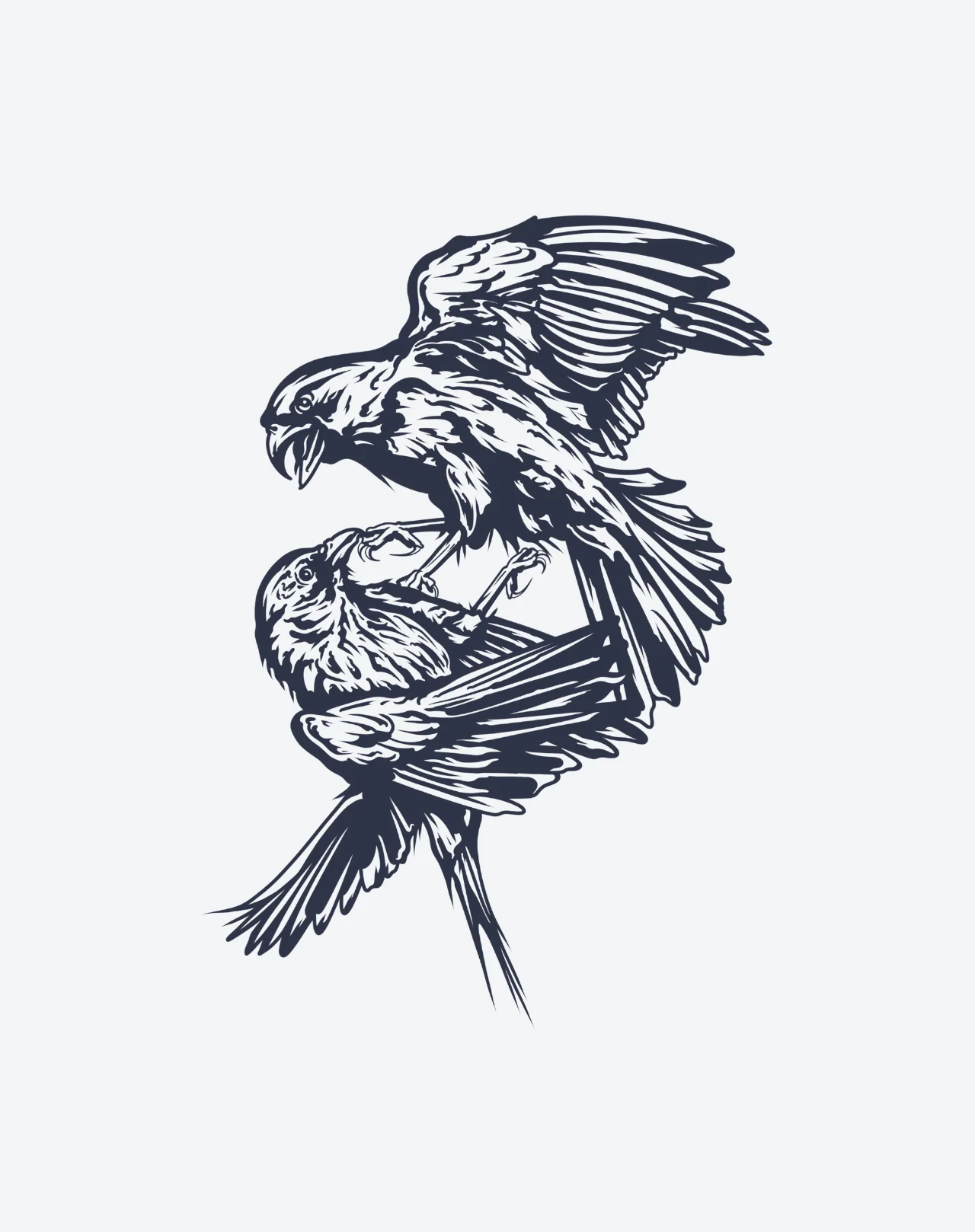 Birds of Prey - Image 2