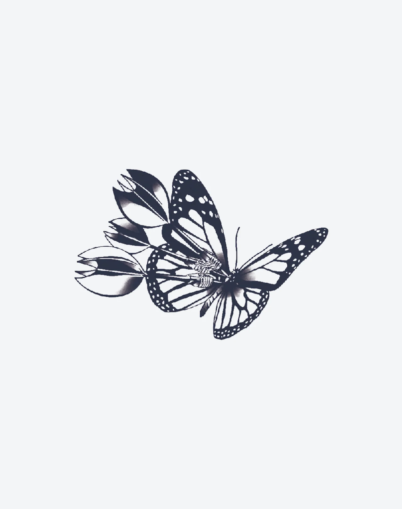 Butterfly Darts - Image 2