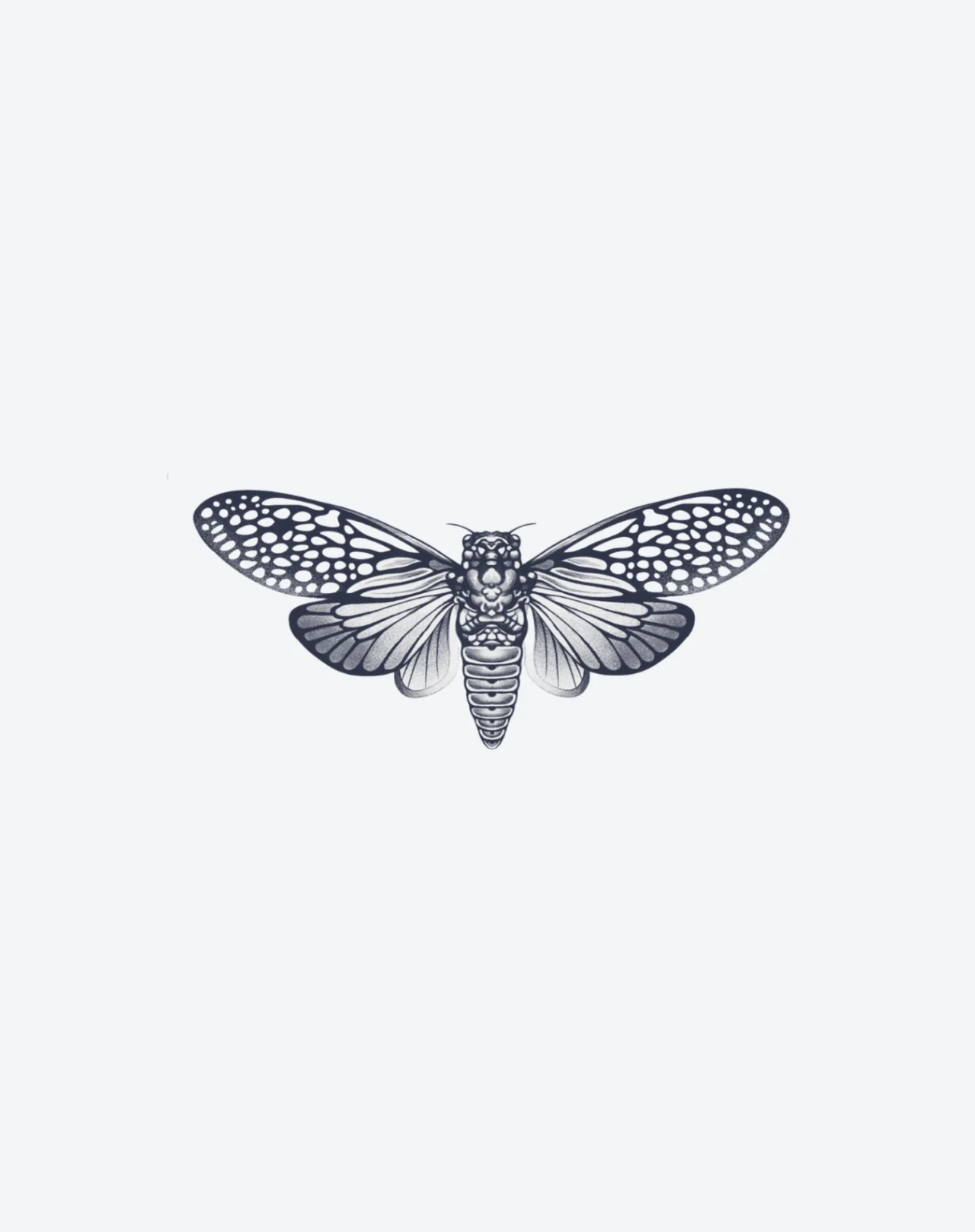 Cicada's Song - Image 2