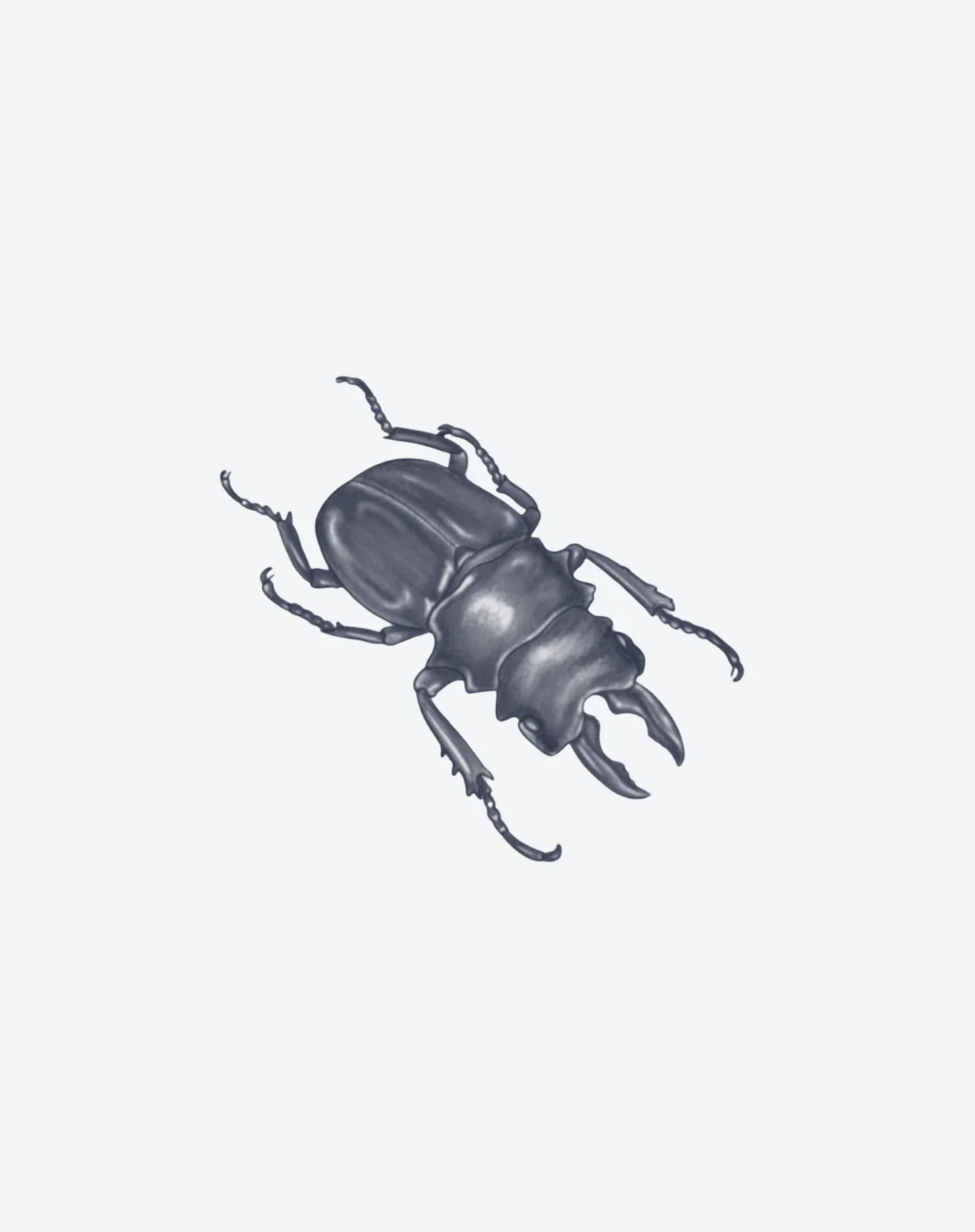 Clash of Claws - Image 2