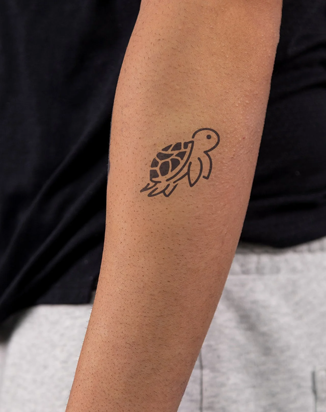 Cute Turtle