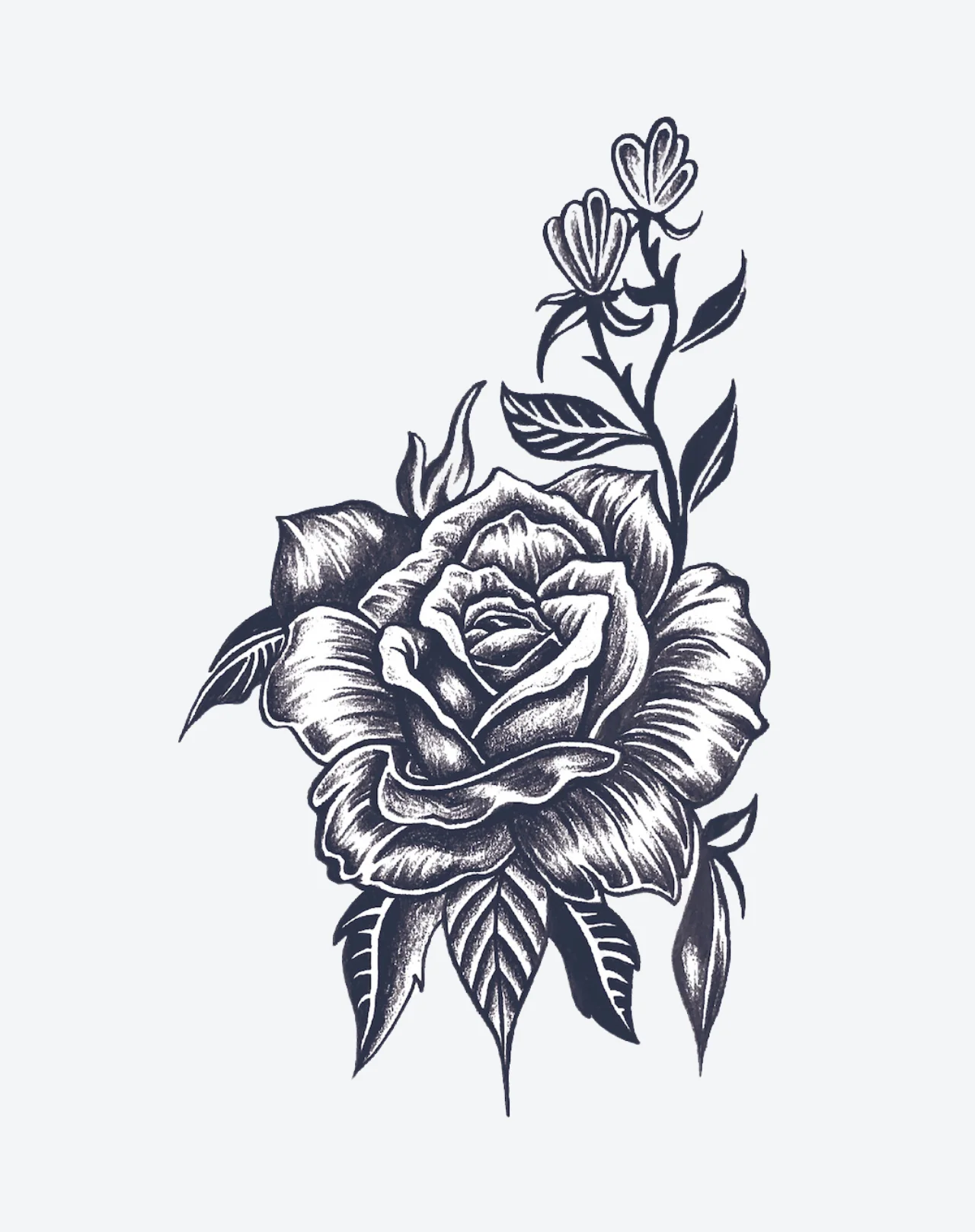 Dark Rose - Image 2