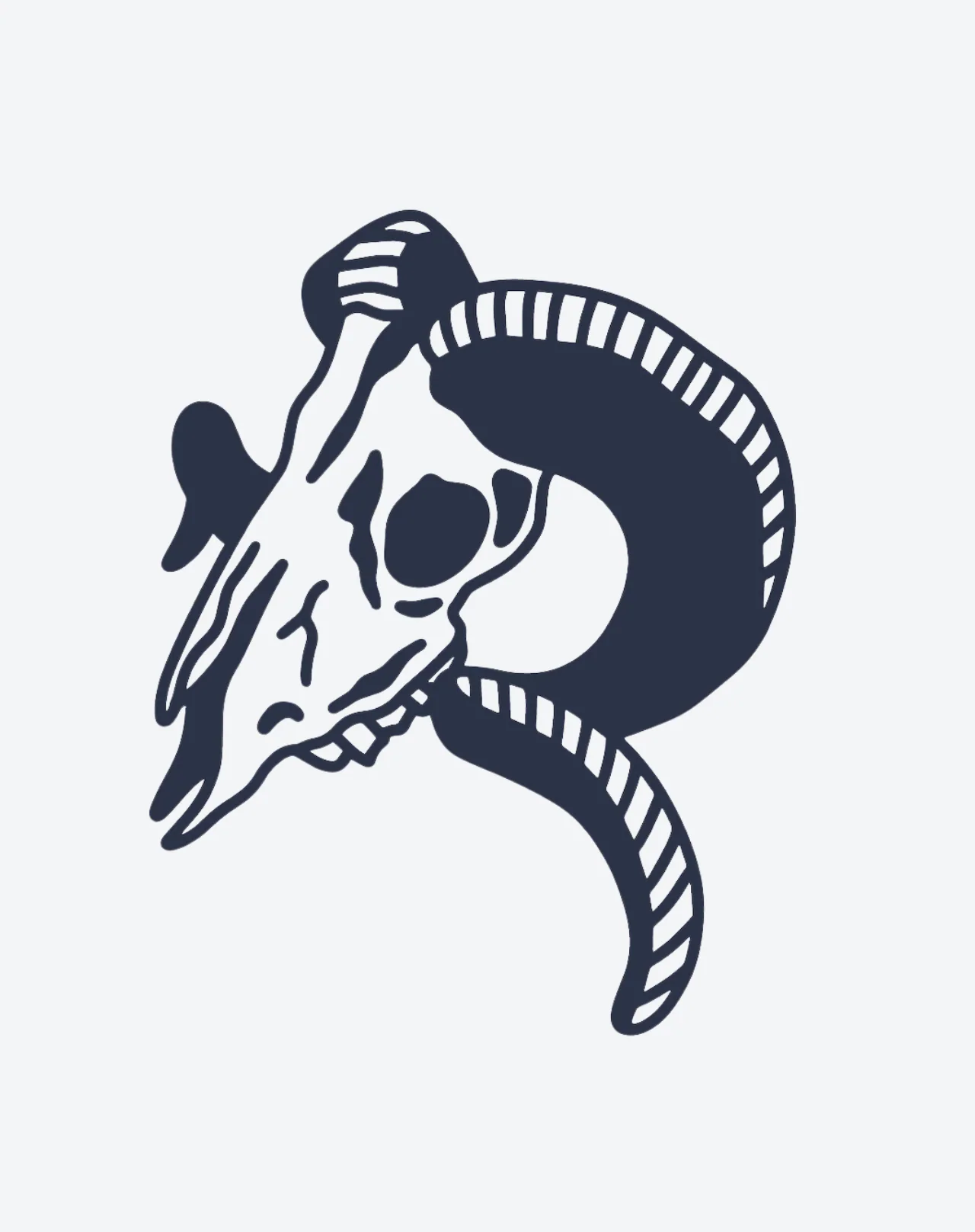 Desert Skull - Image 2