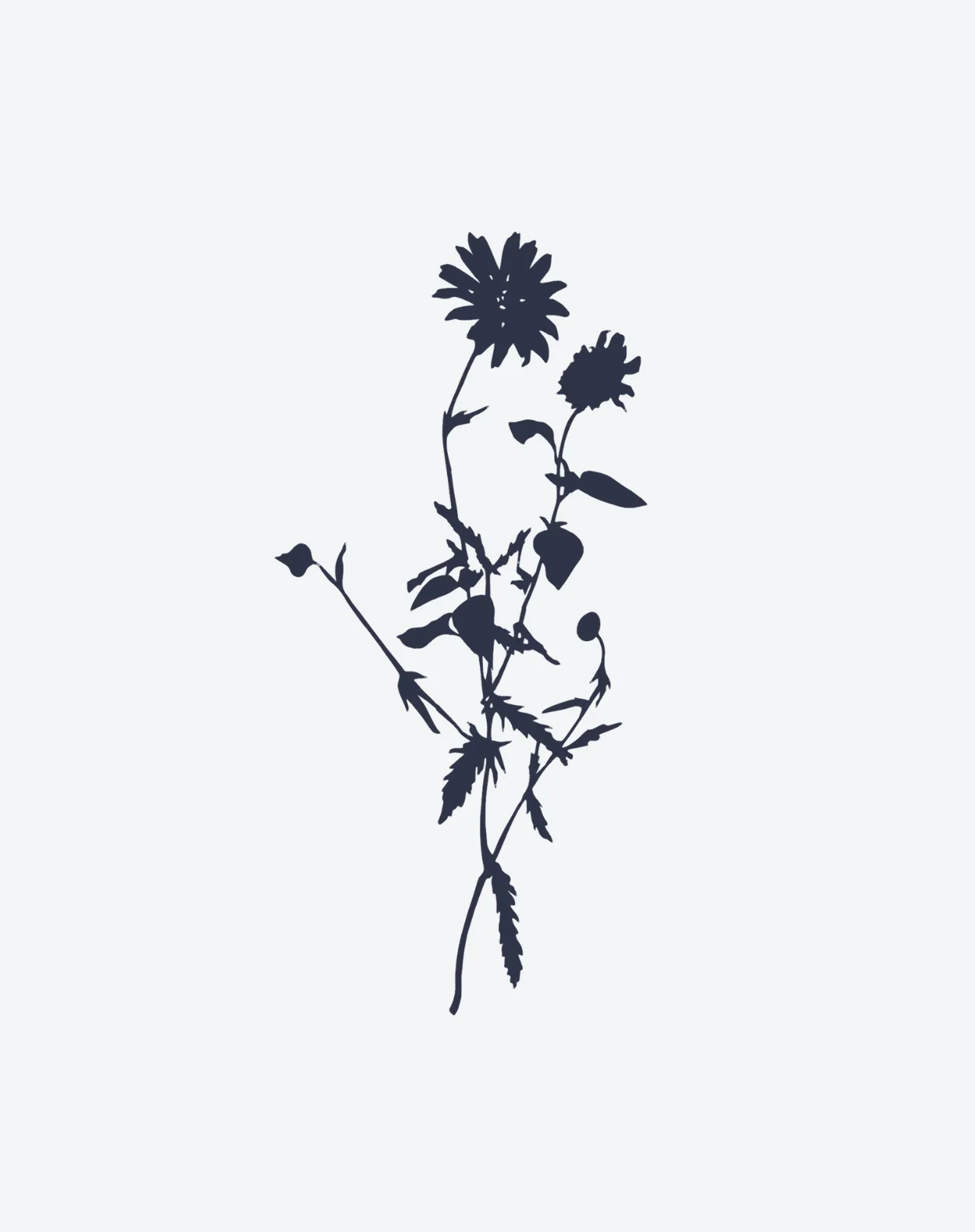 Eclipse Blossom - Image 2