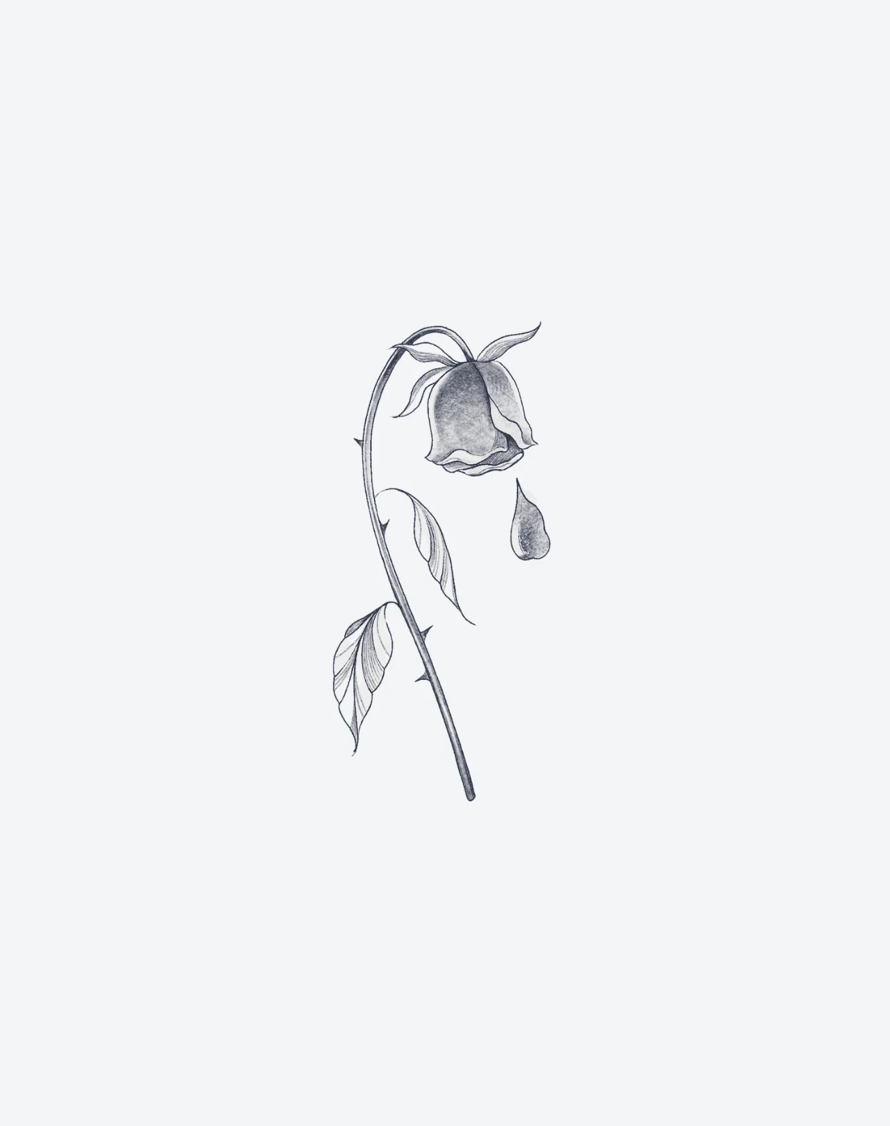 End of Bloom - Image 2