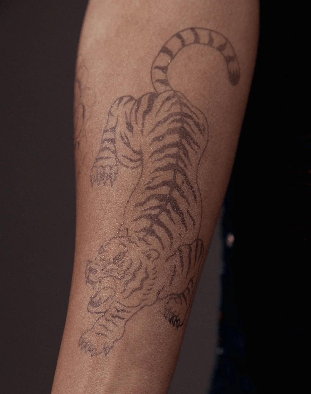 Fierce Tiger