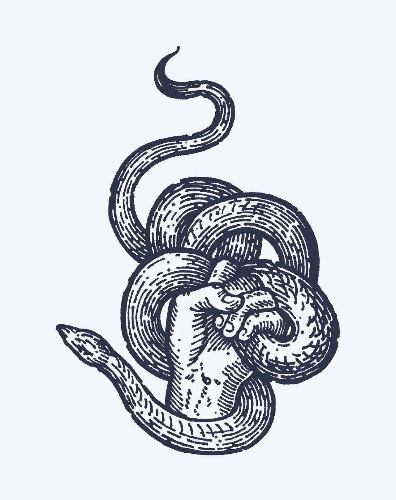 Handler - Image 2