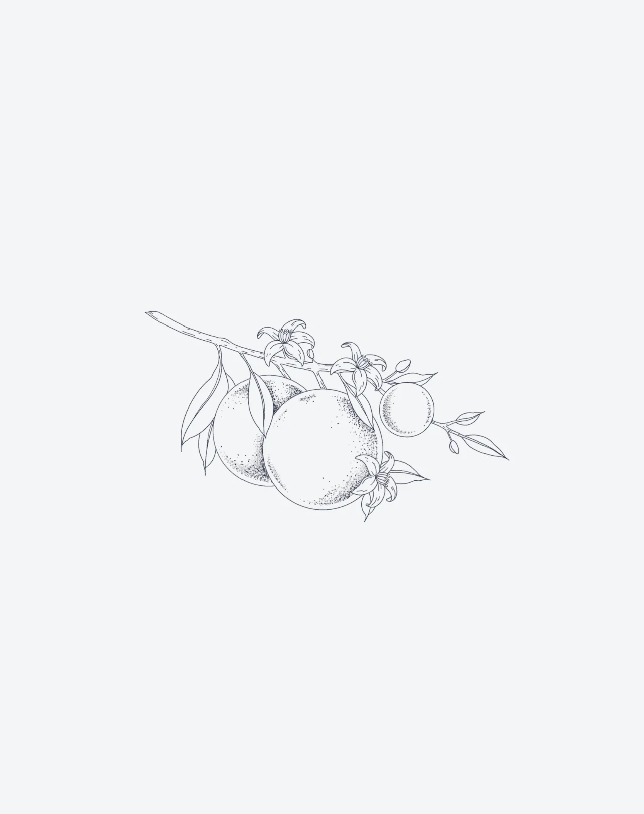 Harvest - Image 2