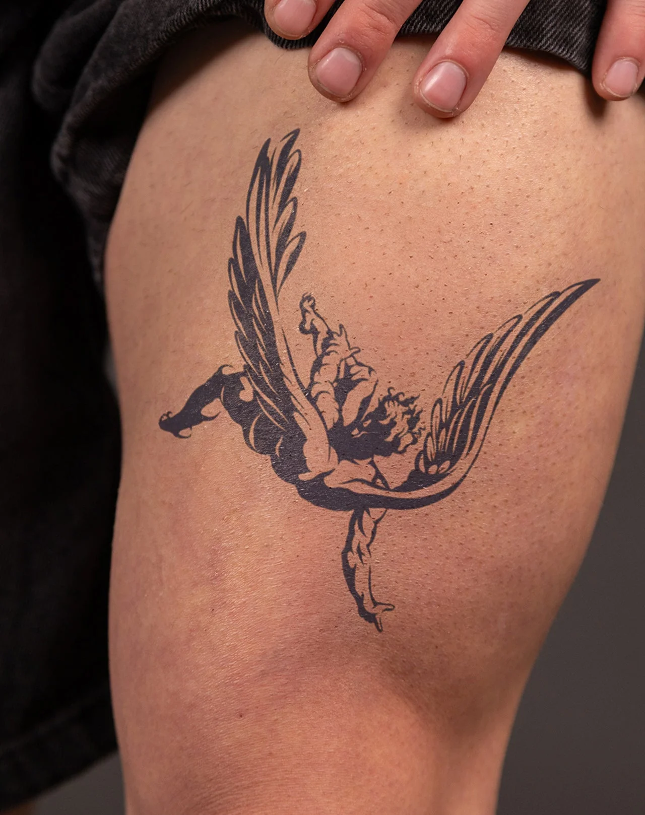 Icarus - Image 3