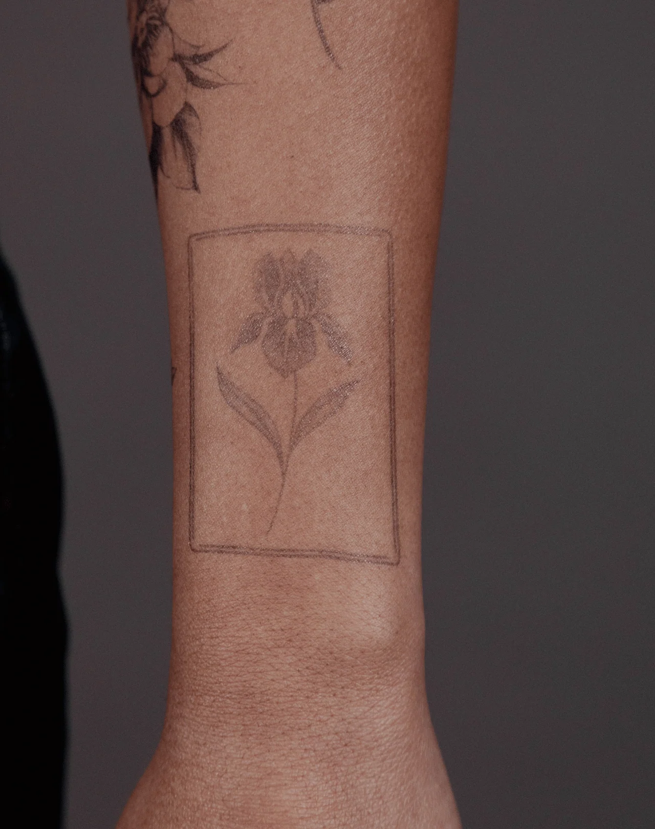 Iris
