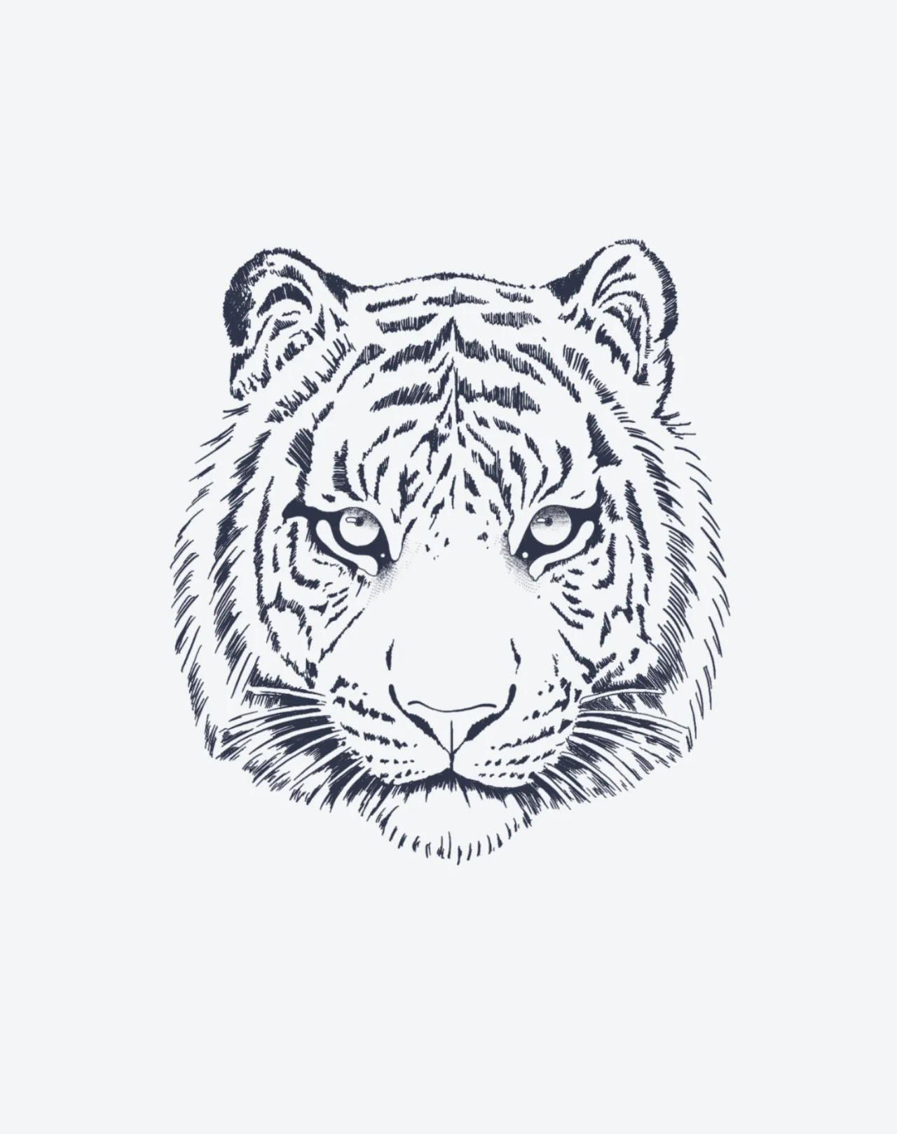 Kings Gaze - Image 2