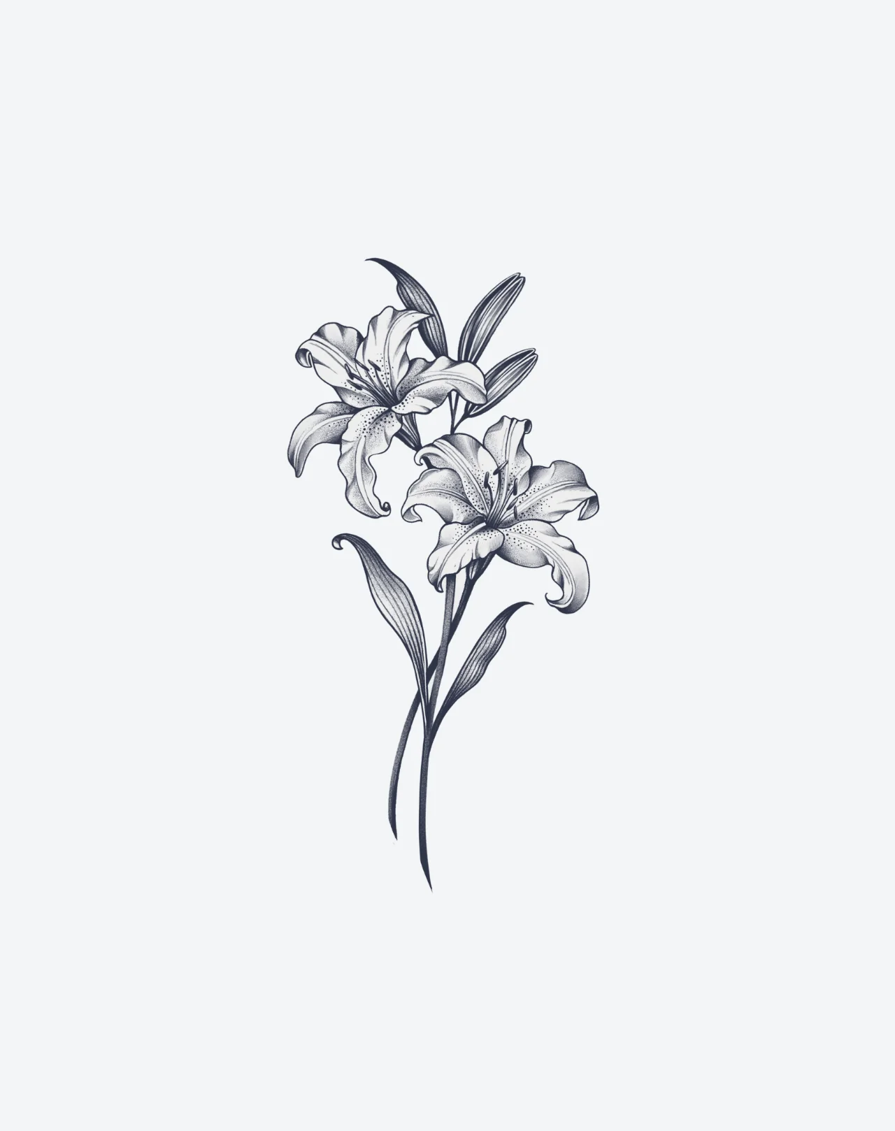 Lilies in Ink - Image 2