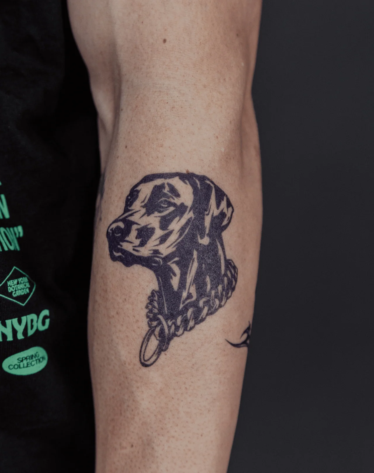 Loyal Spirit - Image 2