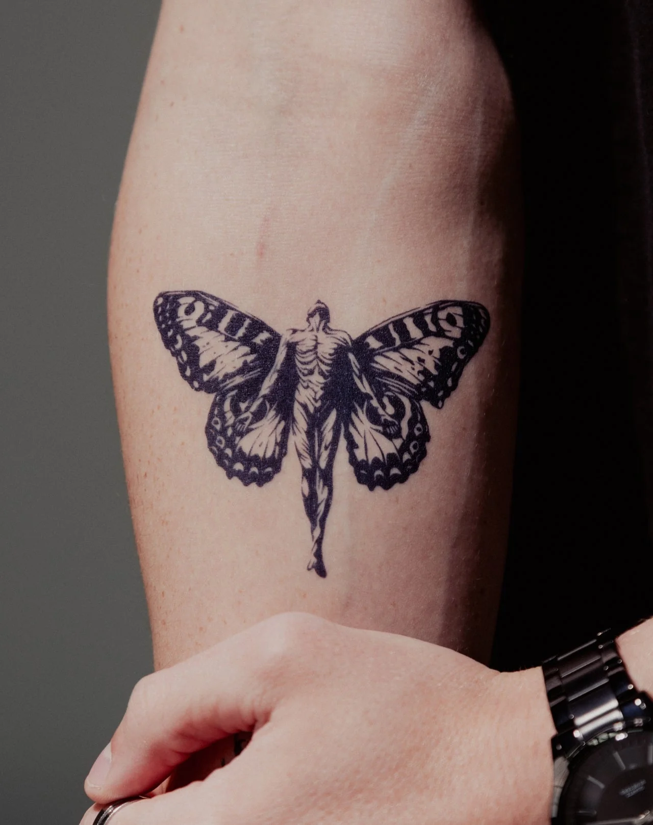 Metamorphosis