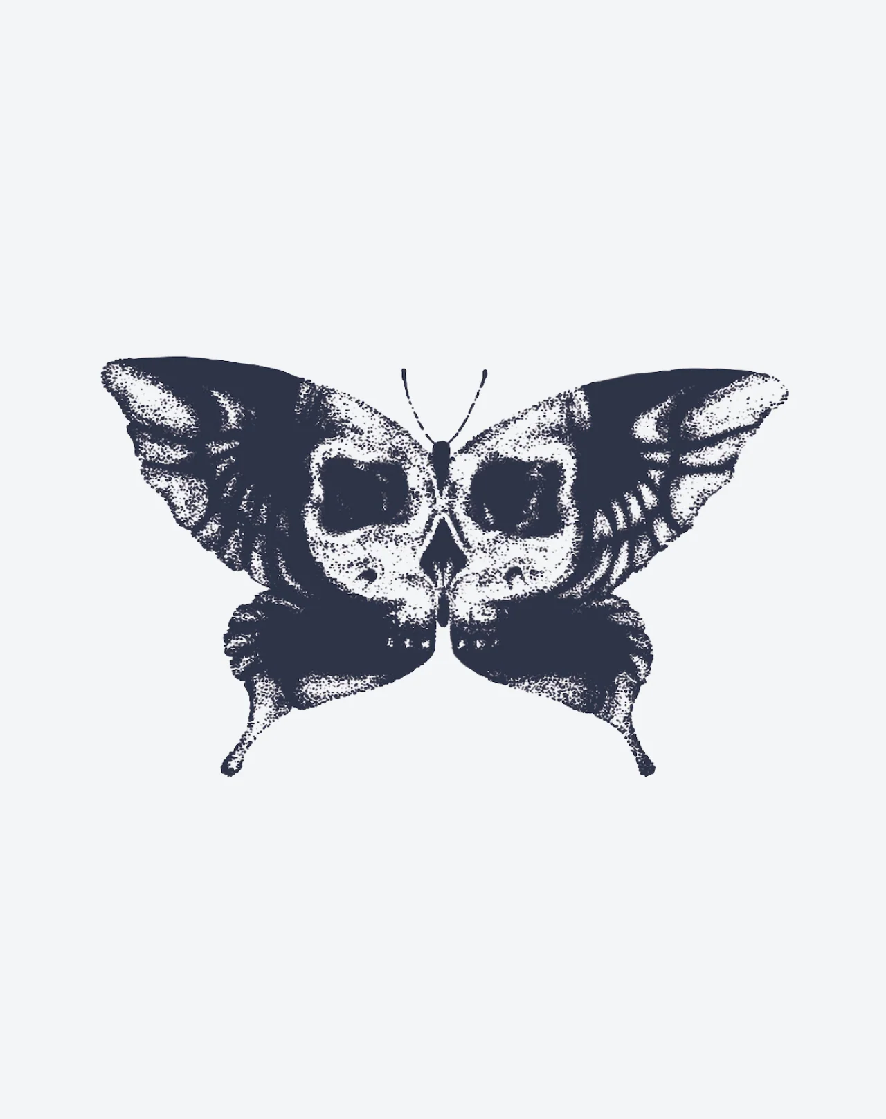 Moth Skull - Image 2