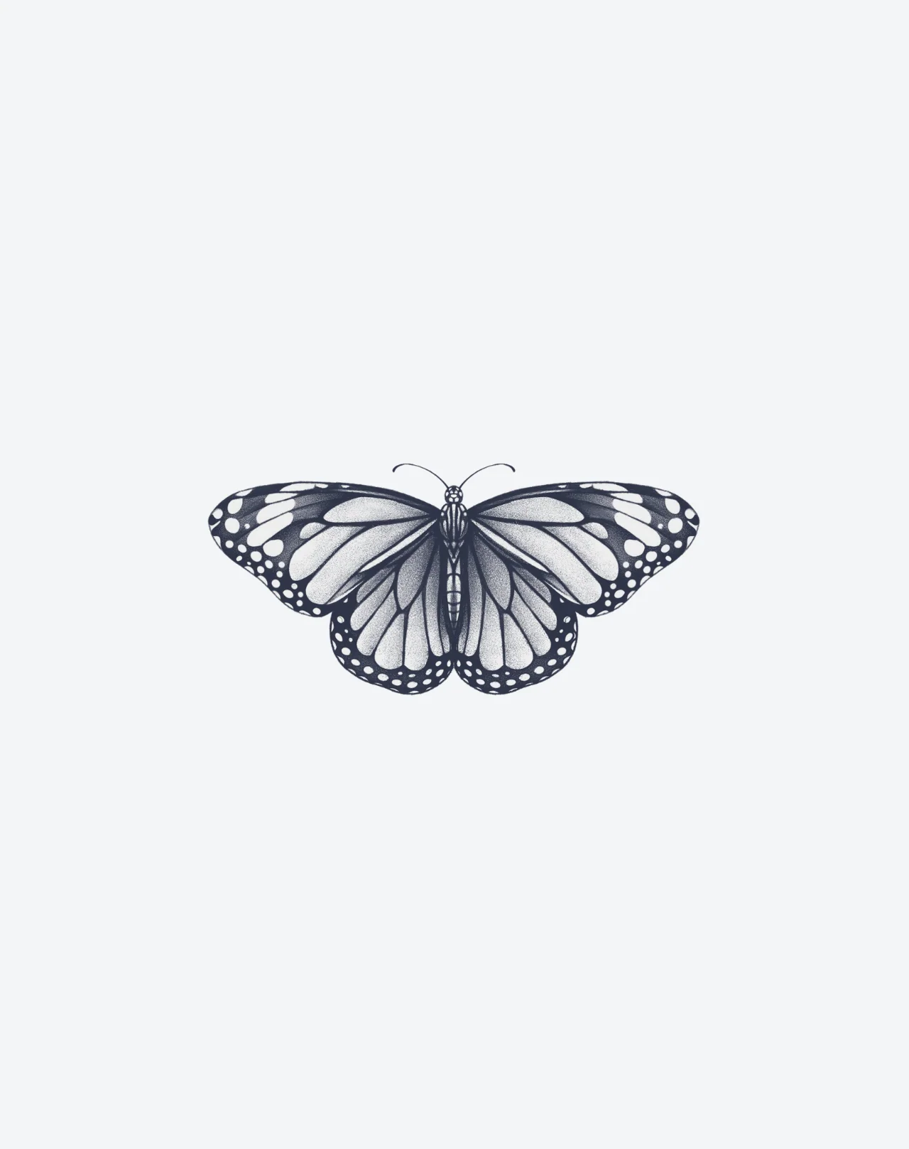 Papillon Noir - Image 2