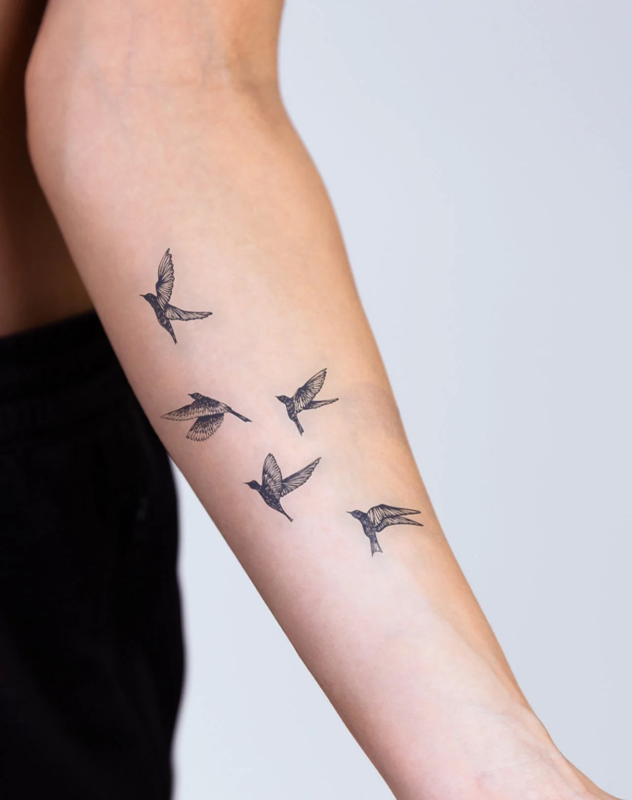 Peaceful Flock