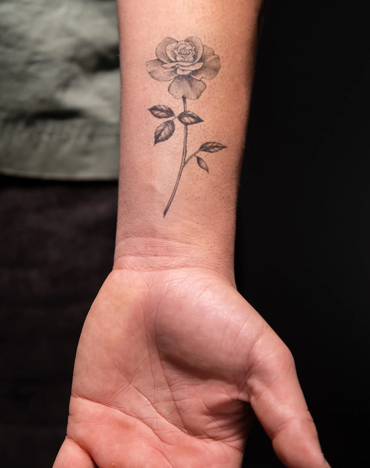 Perfect Rose