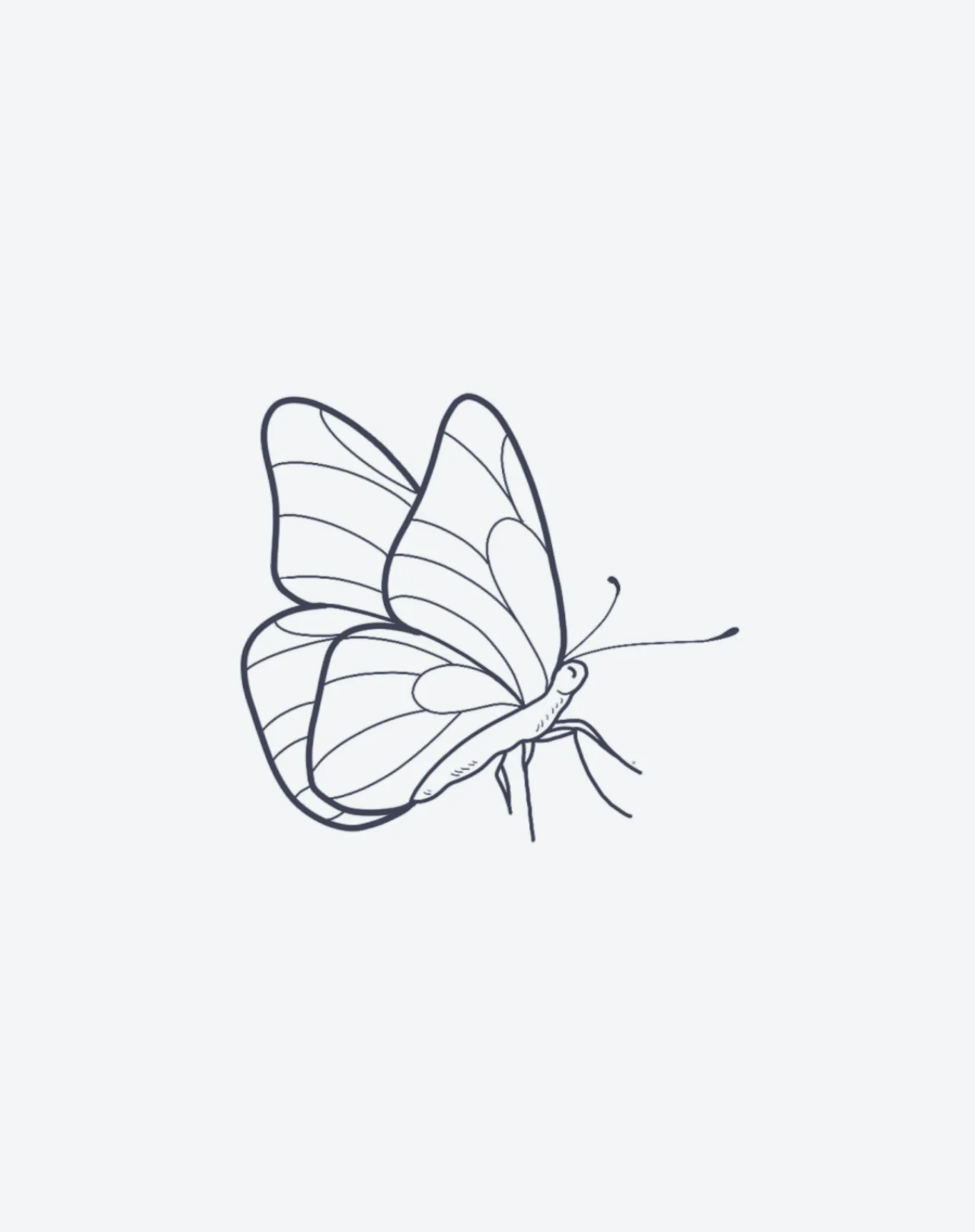 Petite Papillon - Image 2