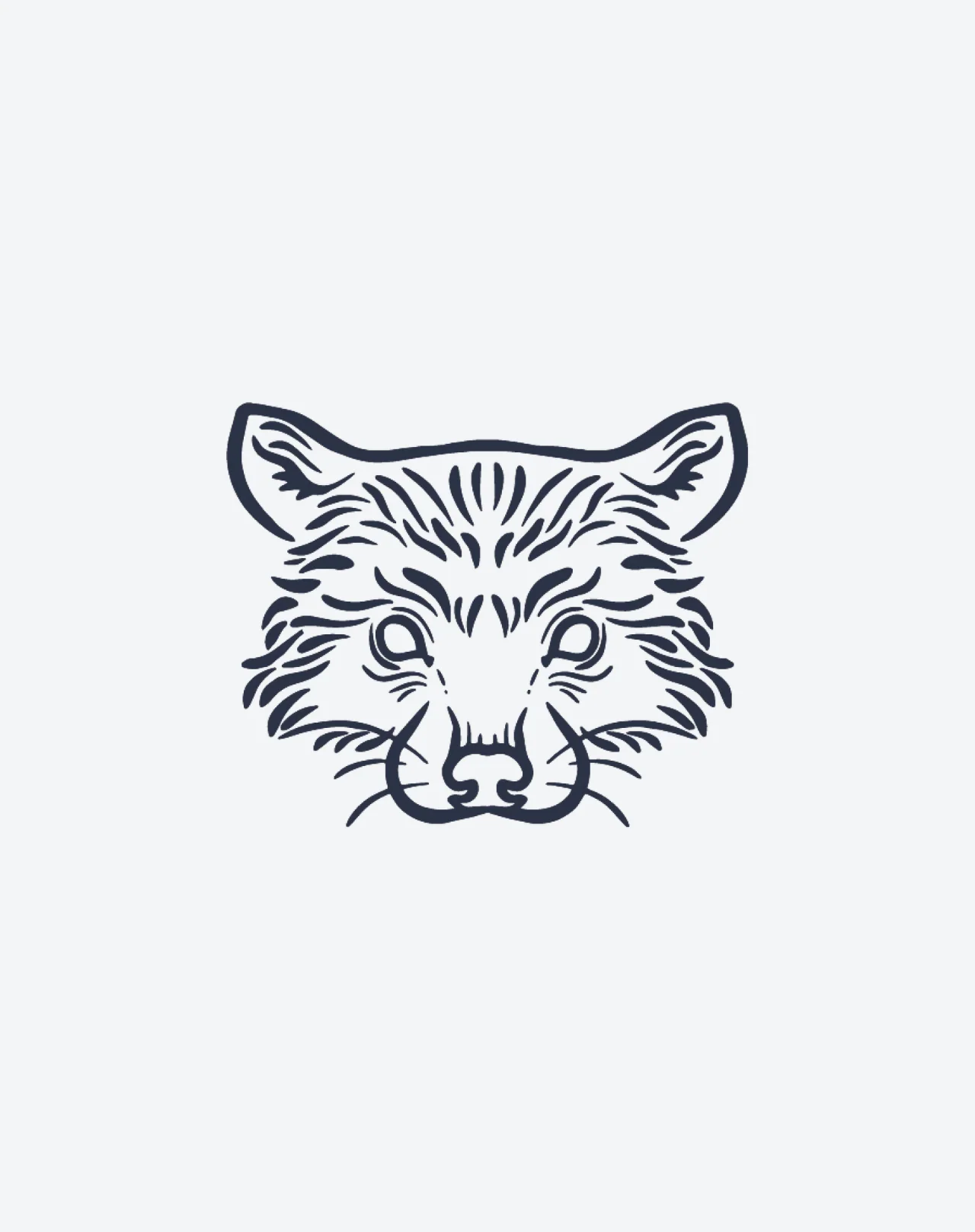 Raccoon - Image 2