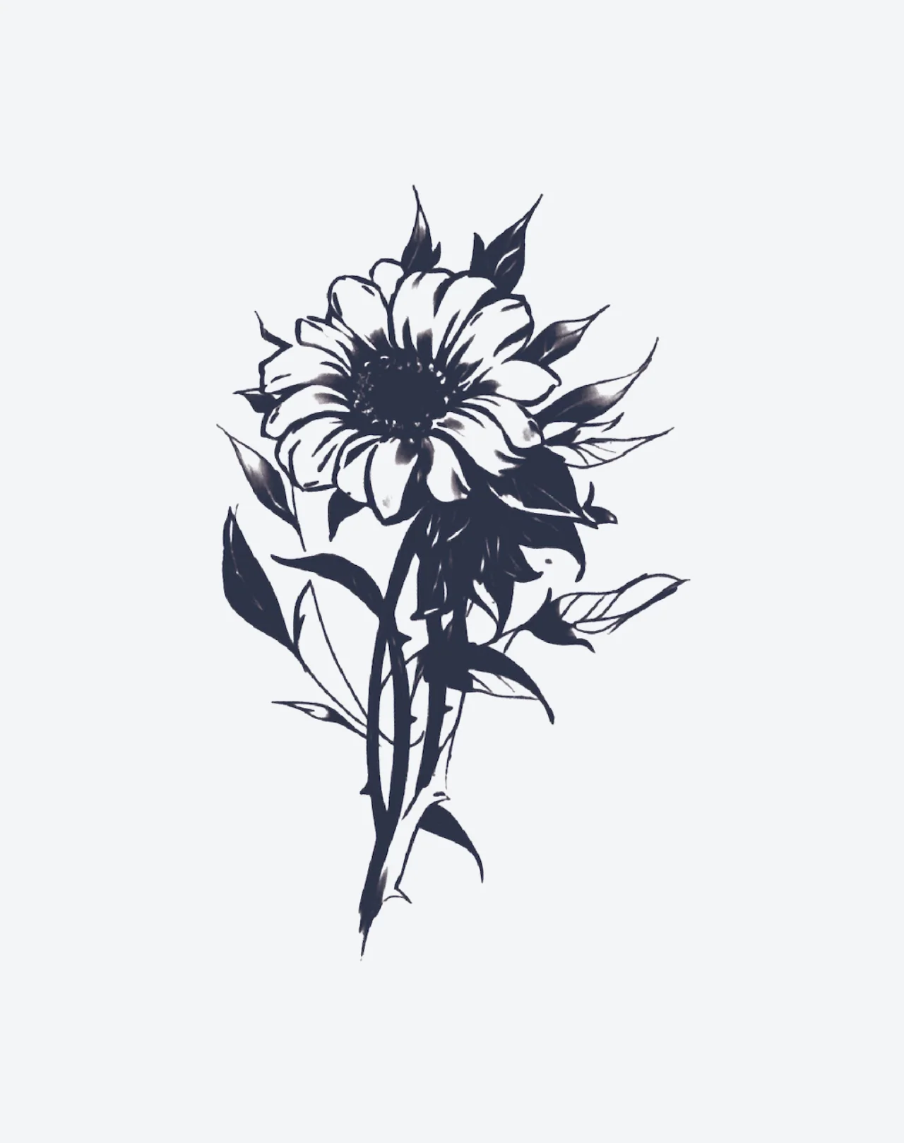 Radiance - Image 2
