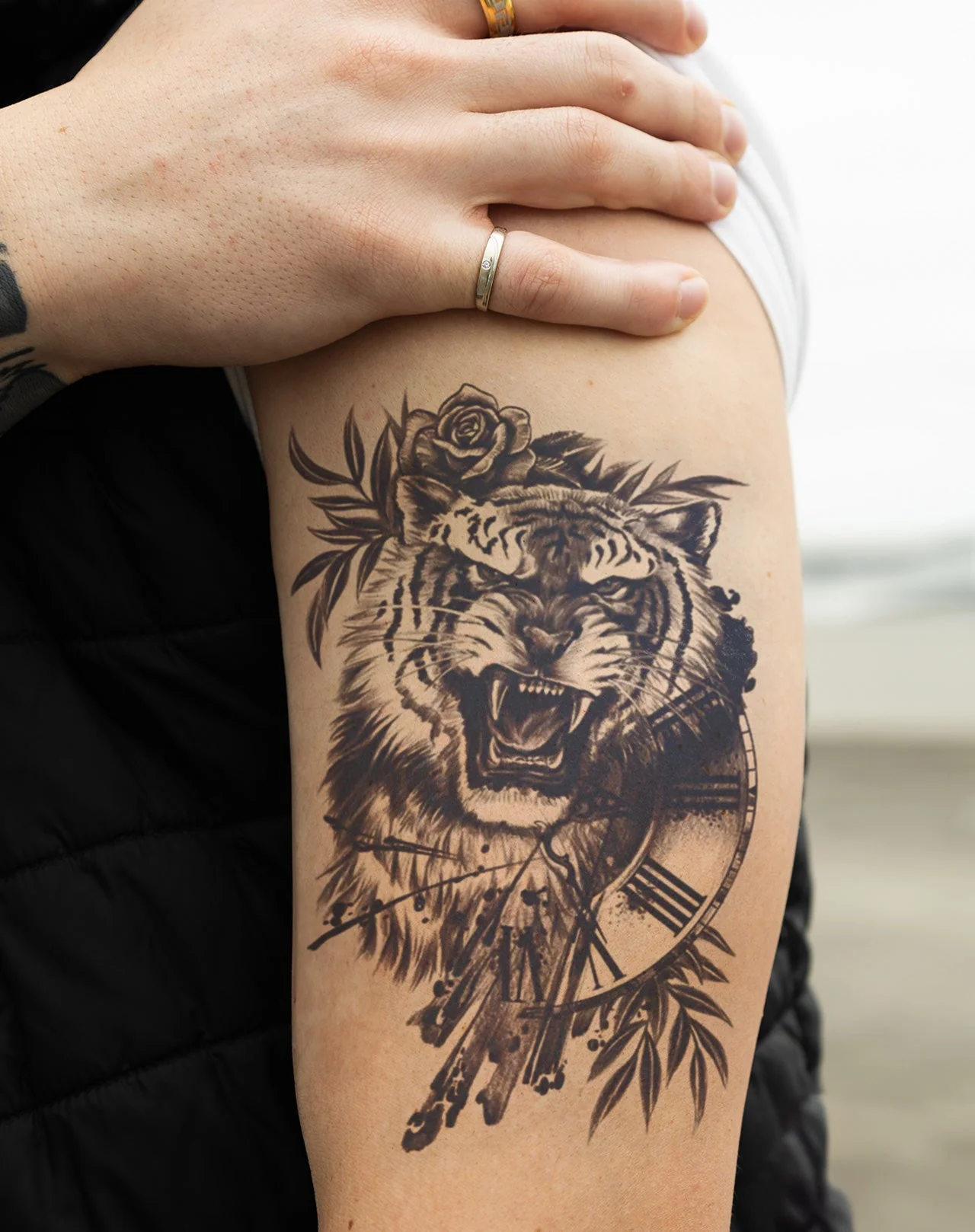 Sabertooth