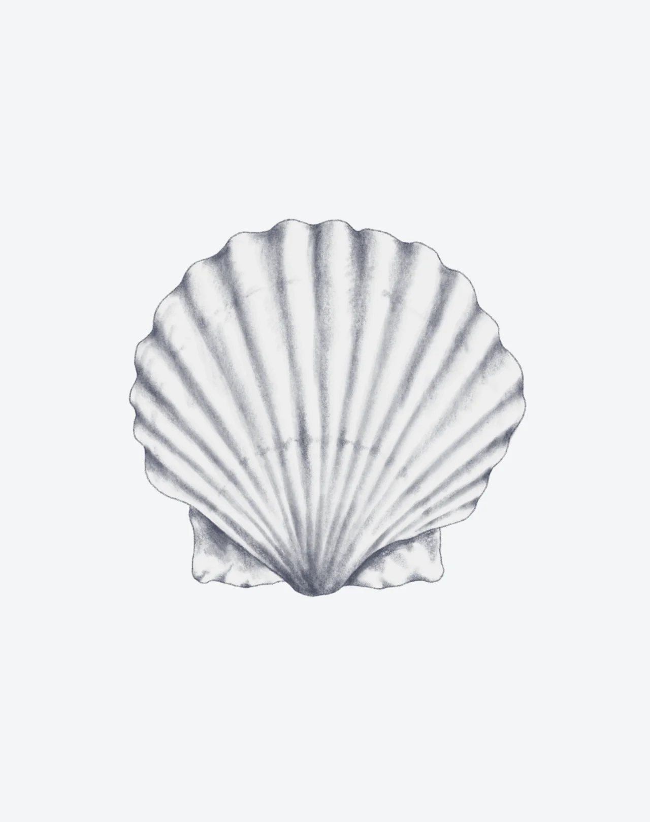 Scallop Song