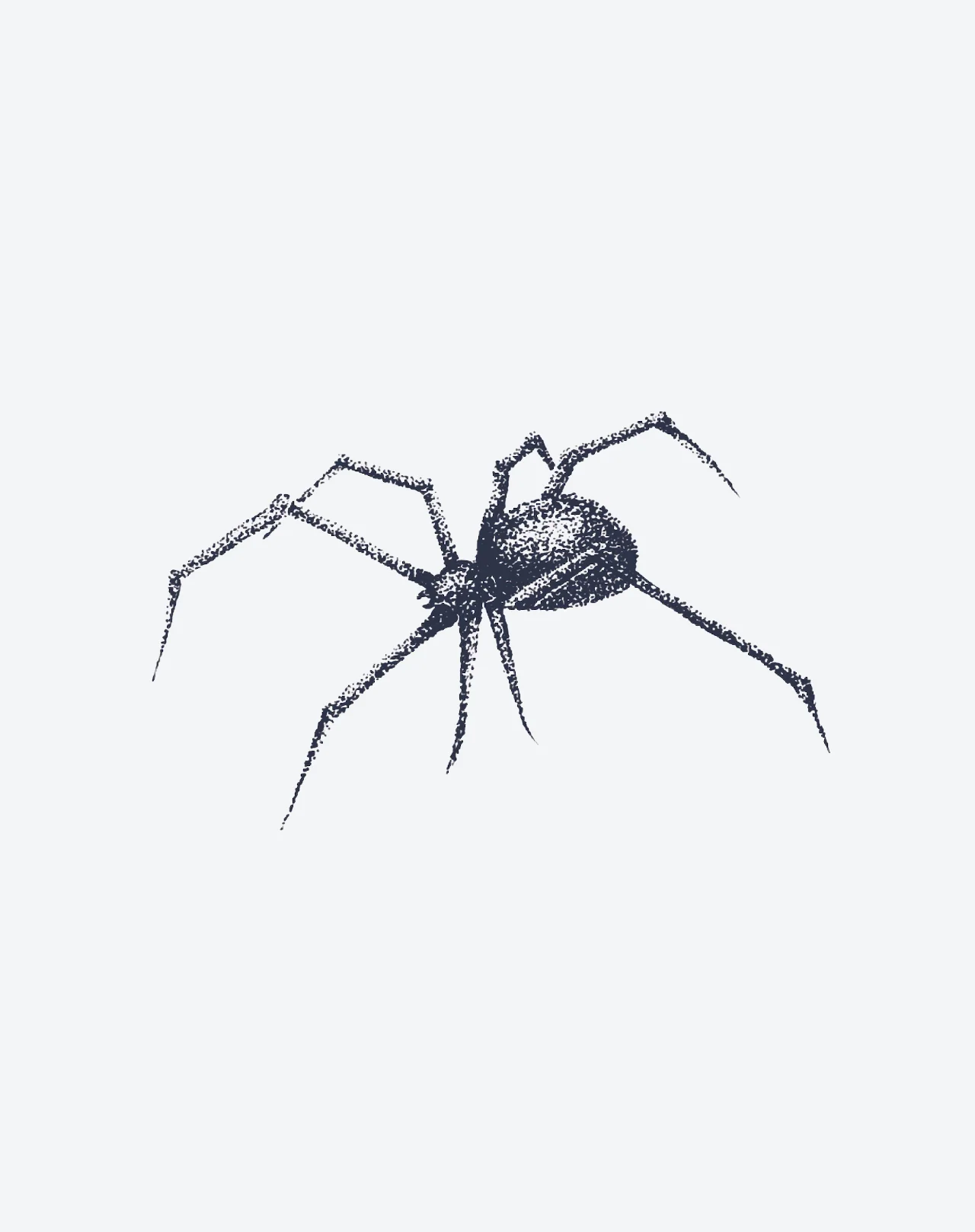 Scarred Spider - Image 2