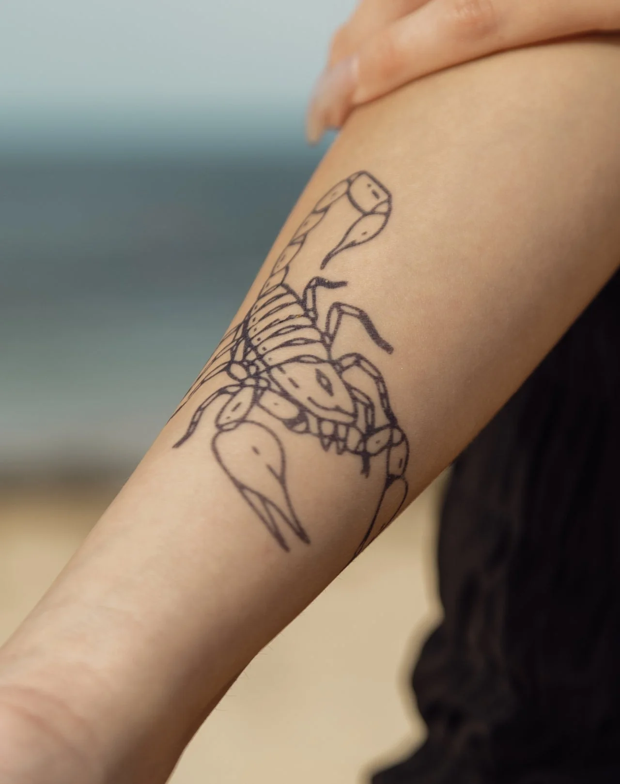 Scorpion