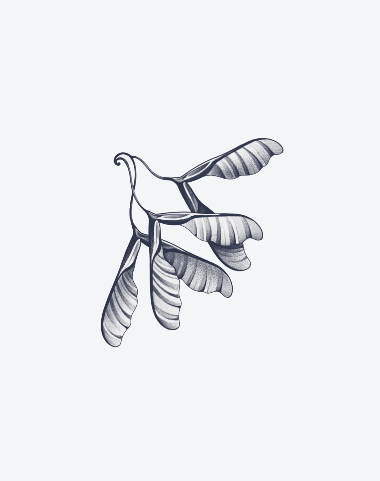 Seed of Flight - Image 2