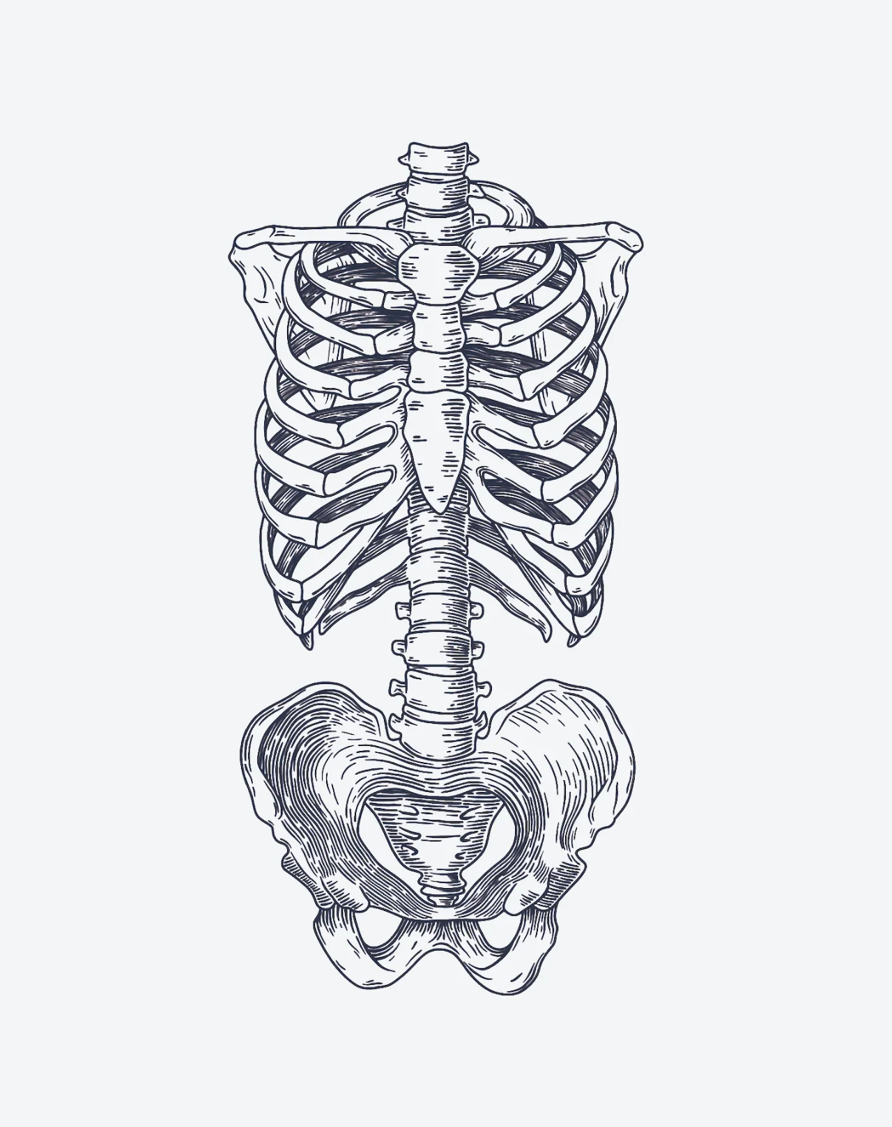Skeleton - Image 2