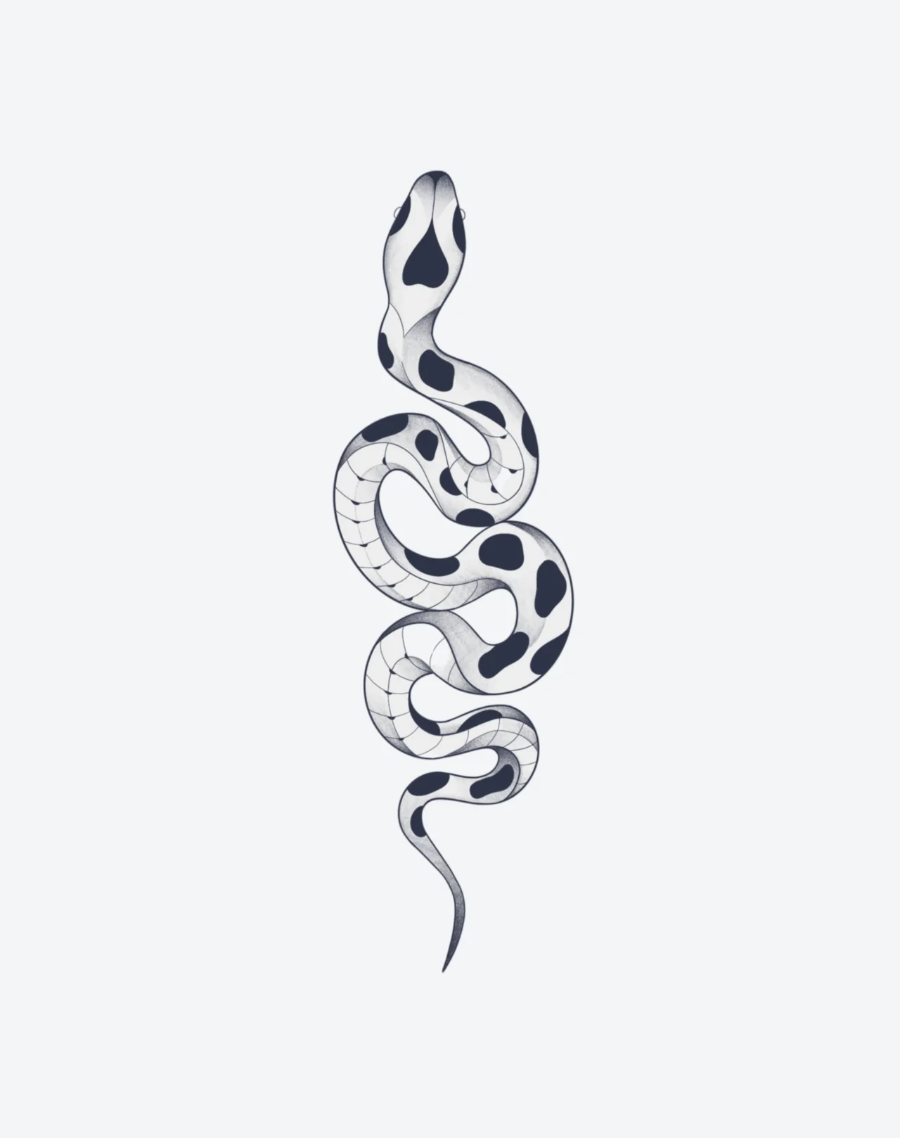 Slither - Image 2
