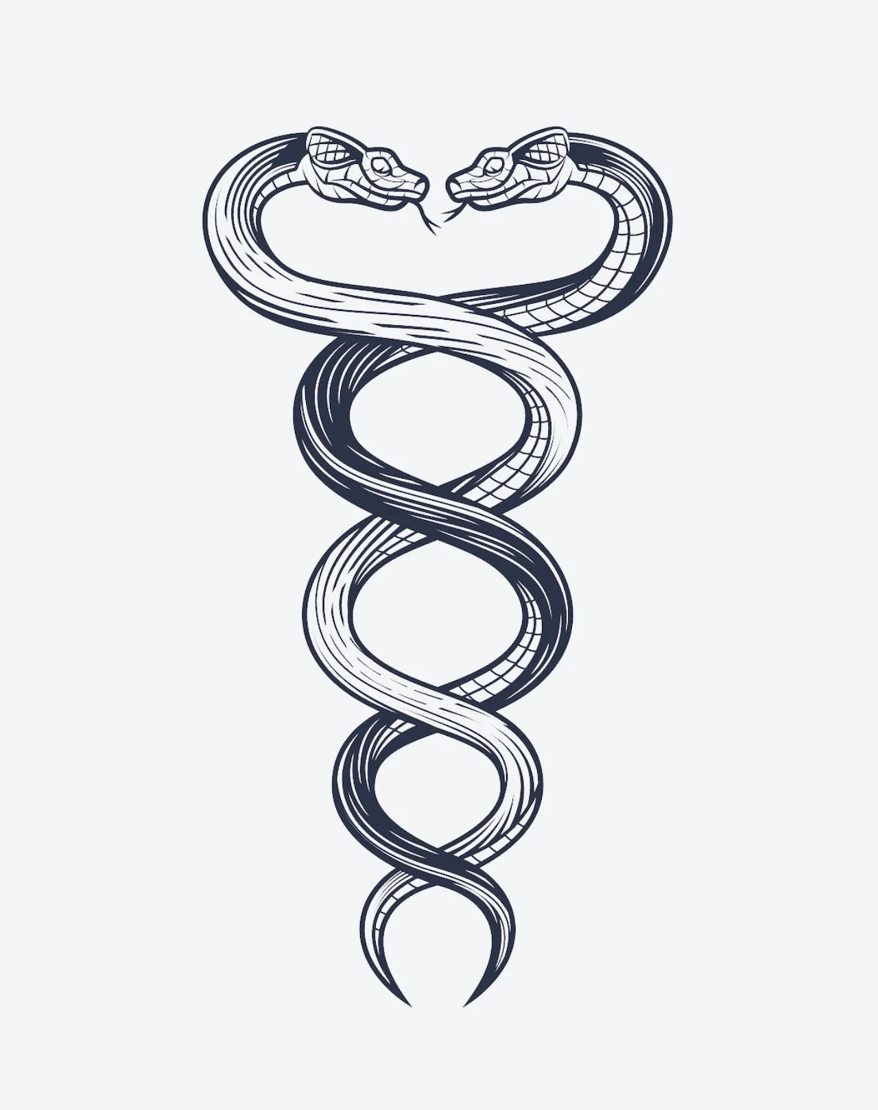 Snake’s Twist - Image 2