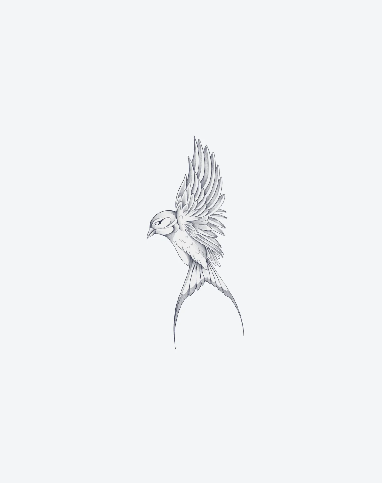 Soars - Image 2