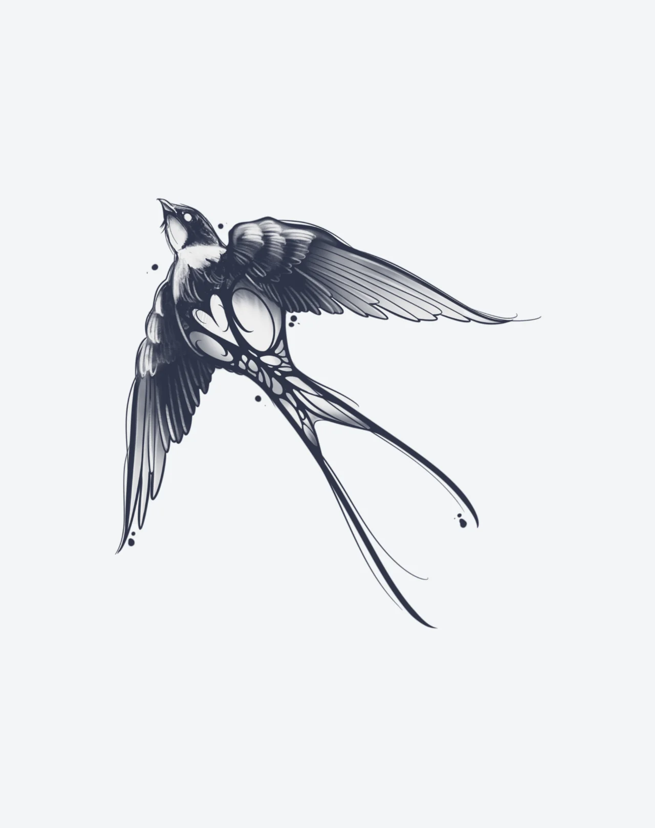 Soar - Image 2
