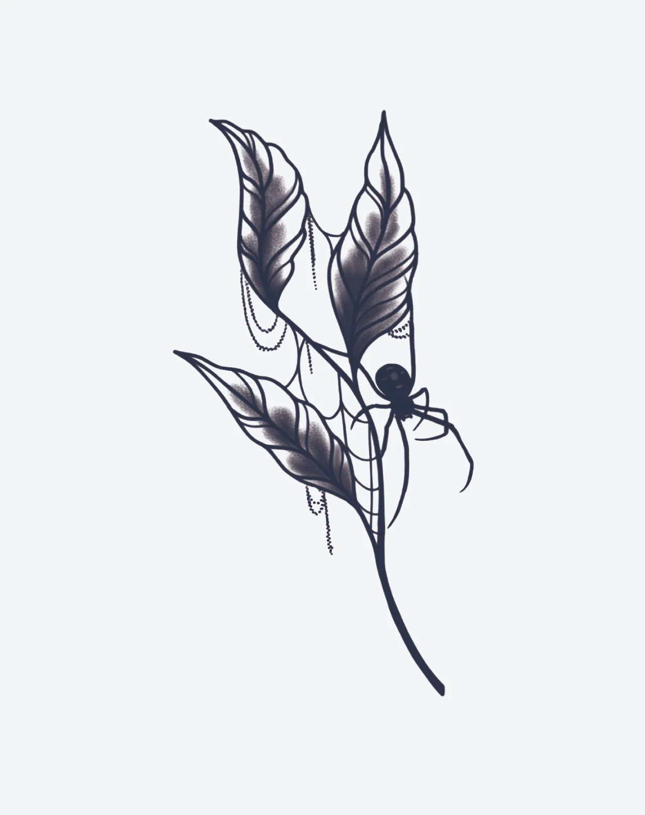 Spider's Recluse - Image 2
