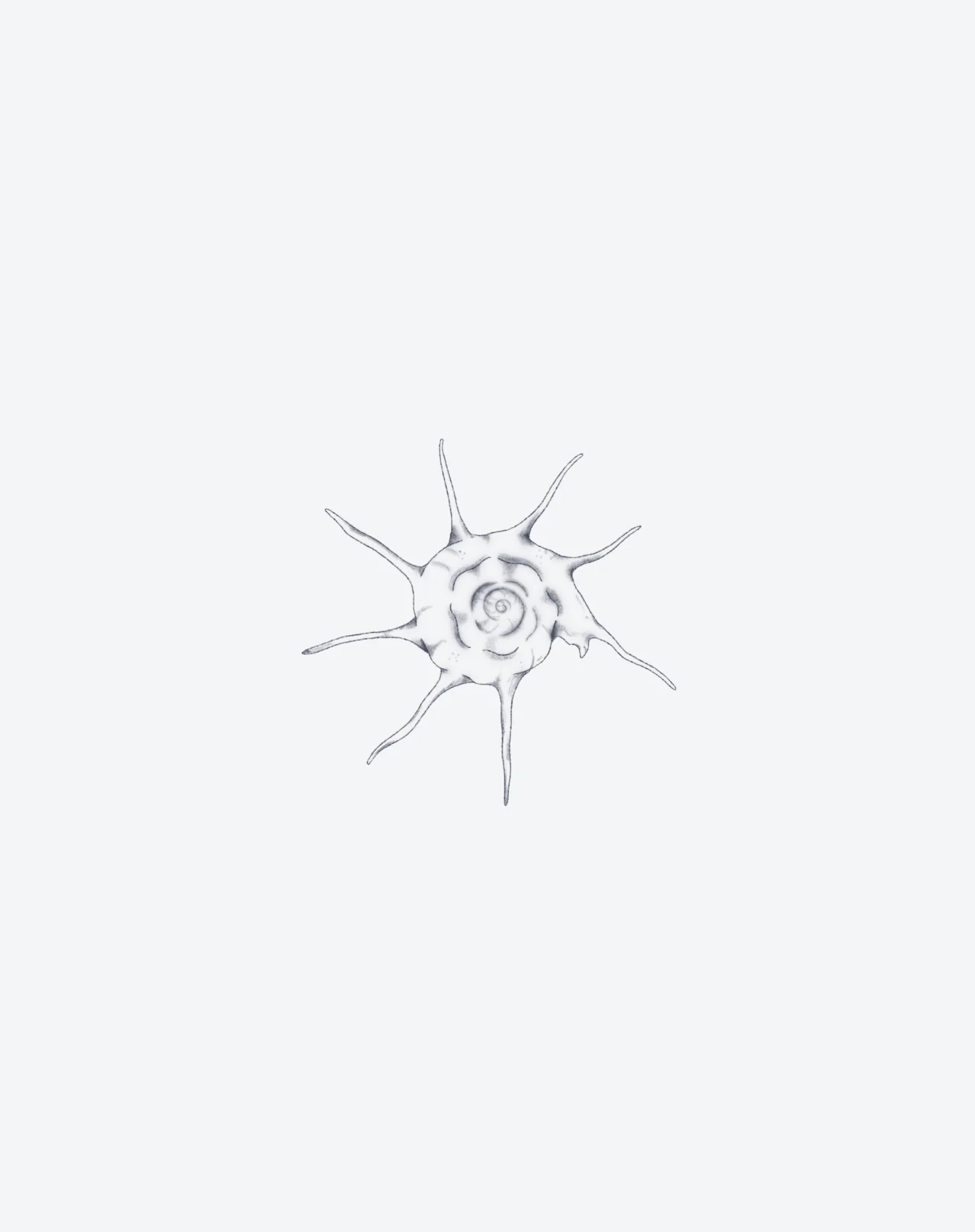 Spiral of Time