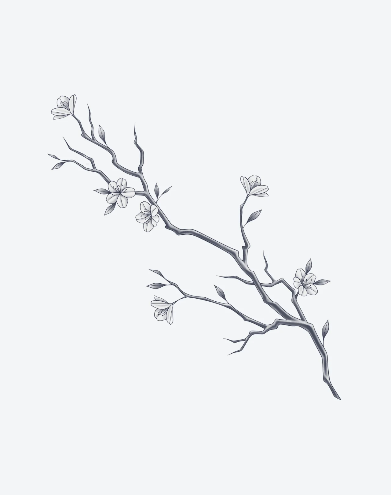 Spring Whisper - Image 2