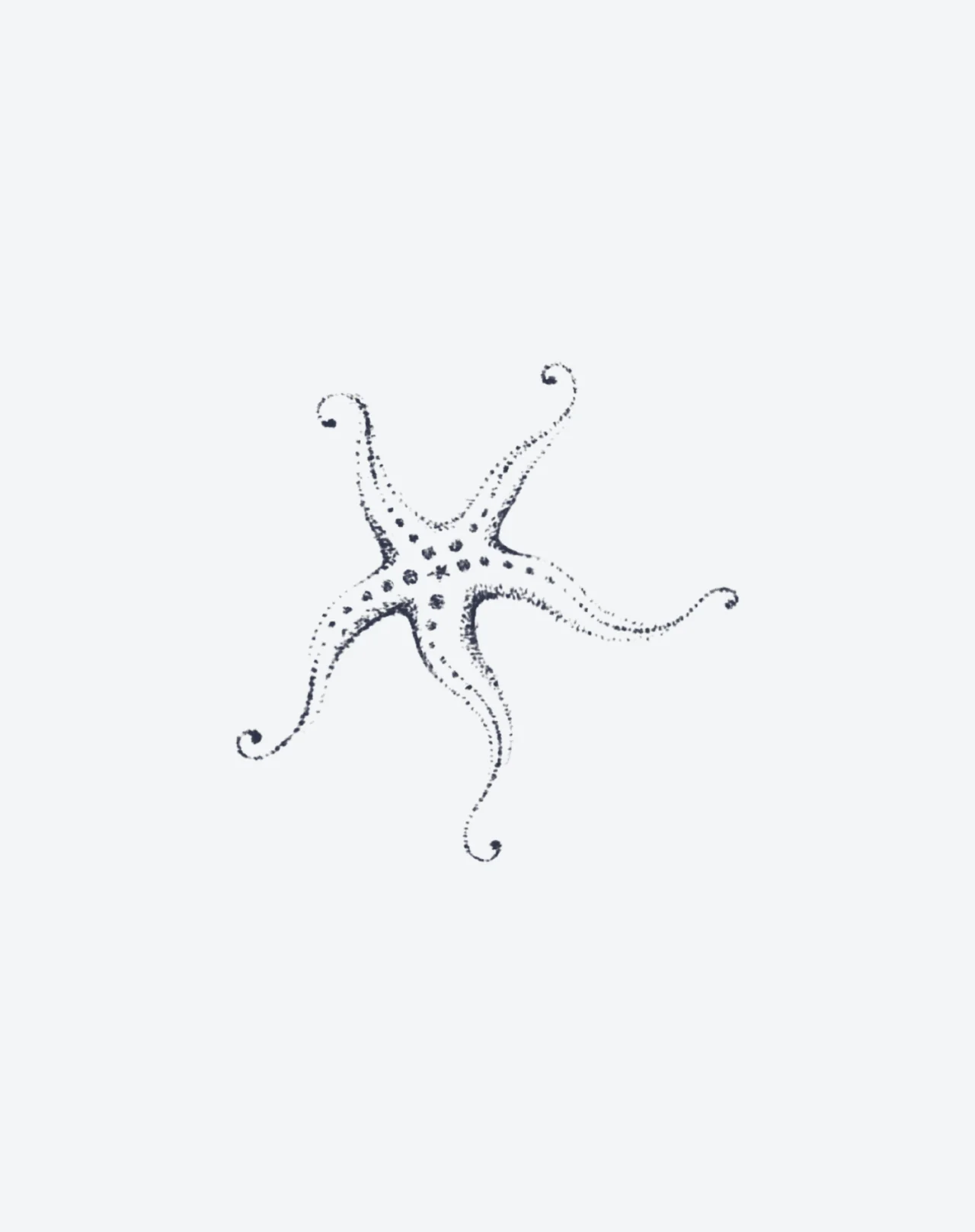 Star of the Sea - Image 2