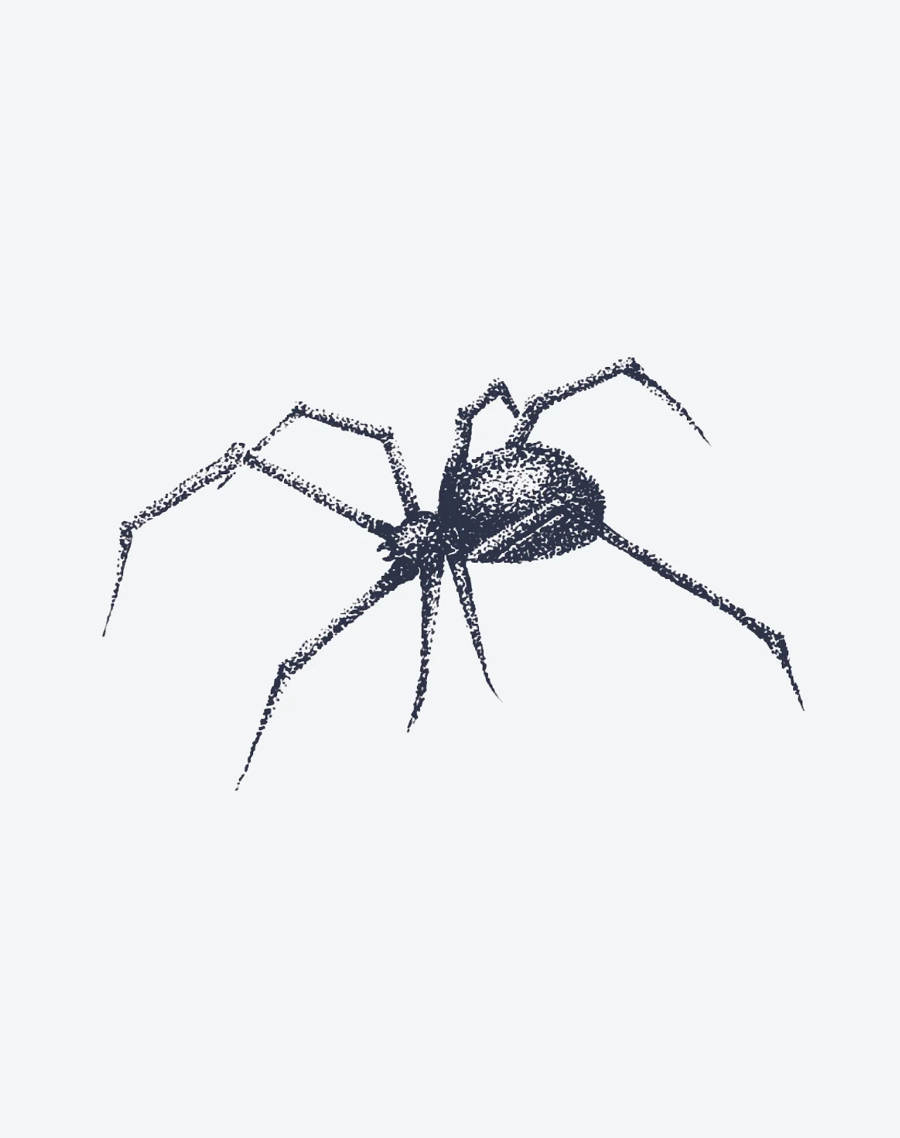 Stippled Spider - Image 2