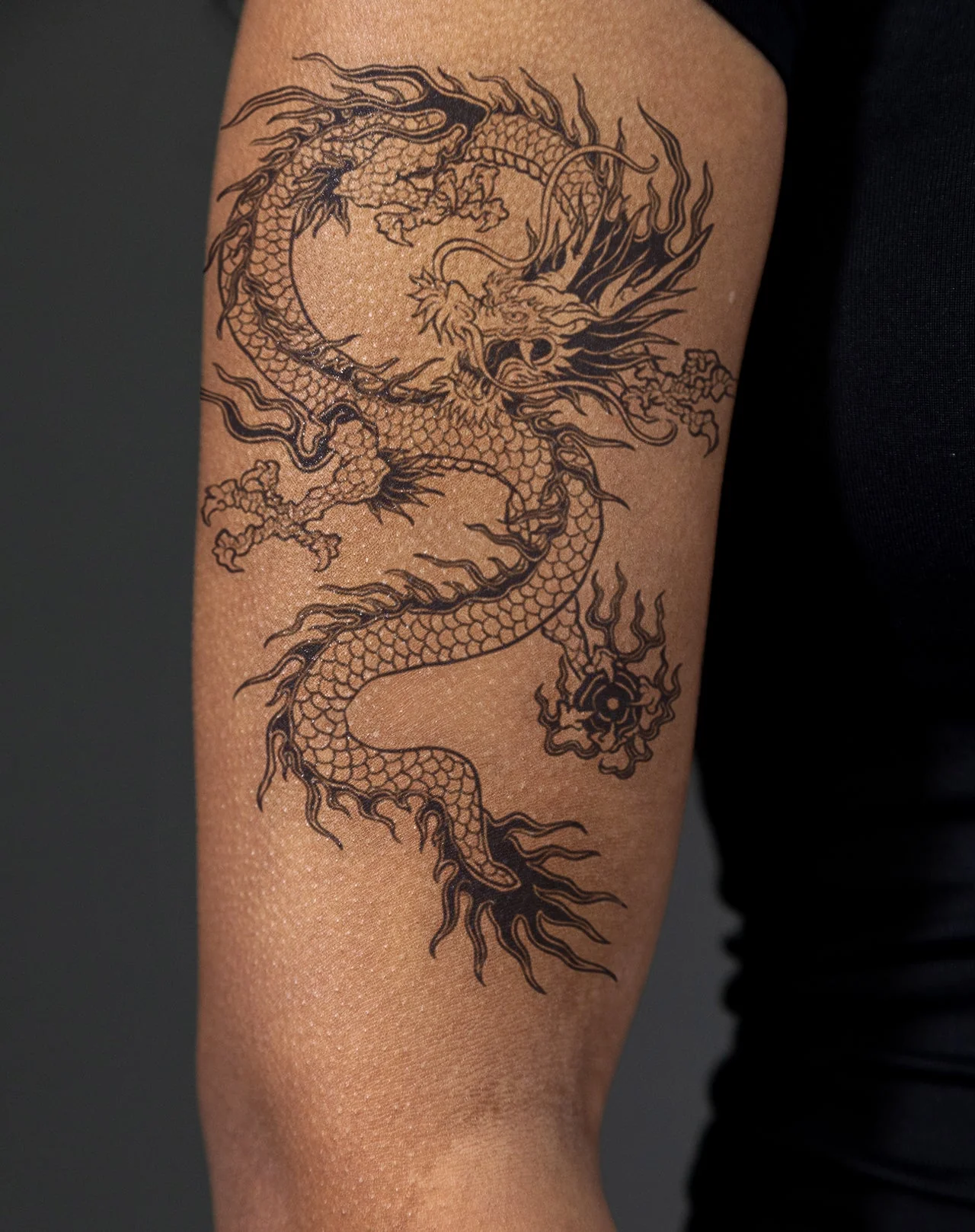 Traditional Japanese Dragon - Image 3
