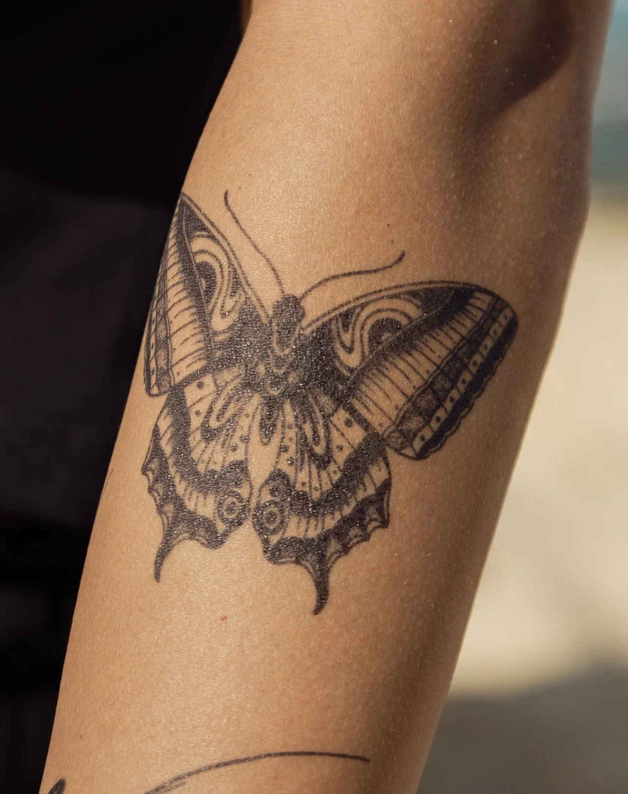 Trippy Moth