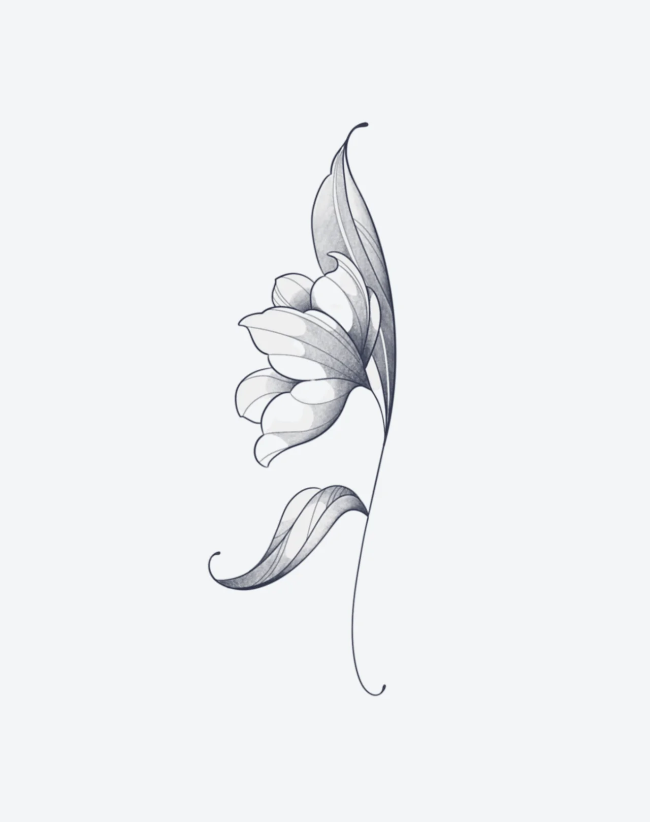 Turnleaf - Image 2