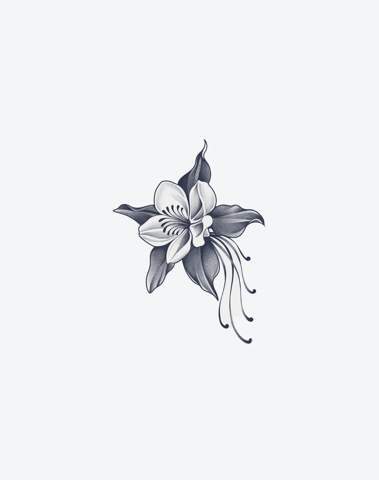 Twilight Lily - Image 2