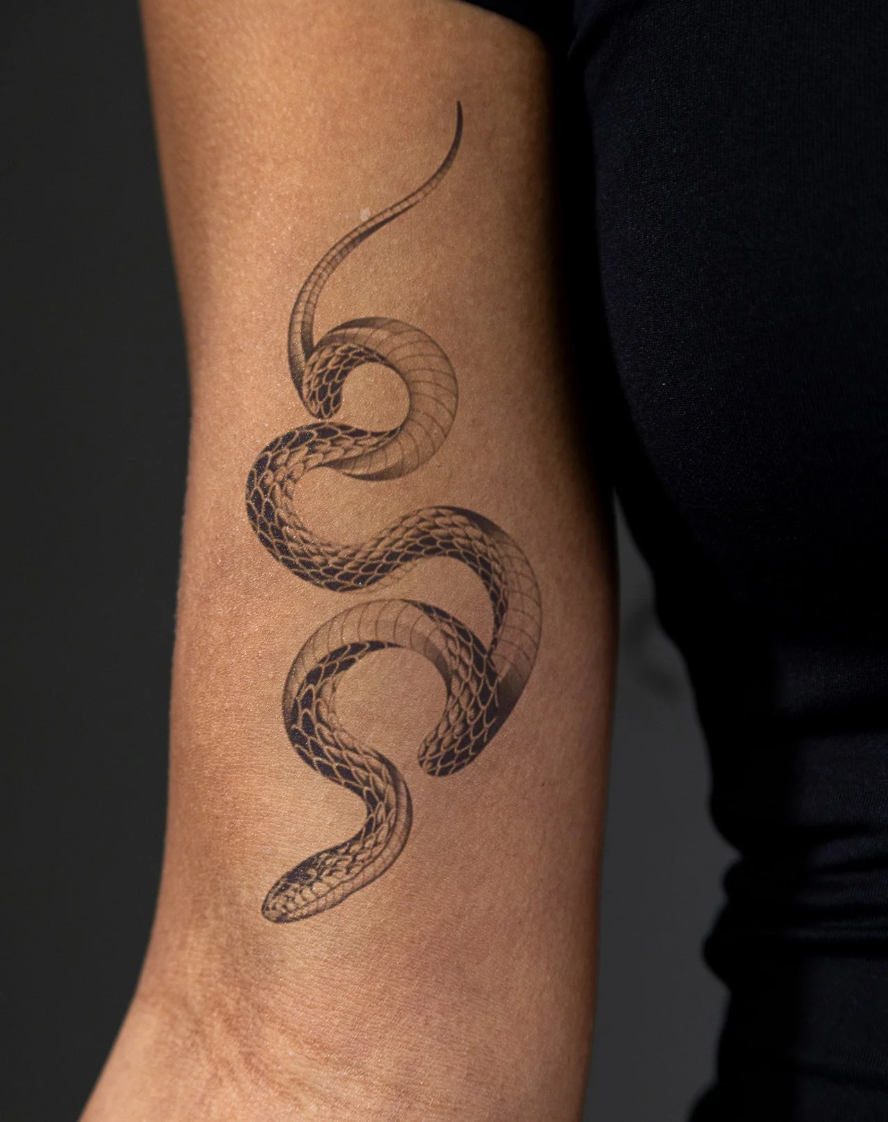 Twisting Guardian - Image 2