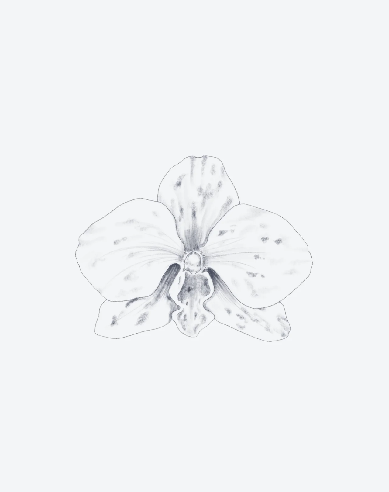 Venus in Bloom