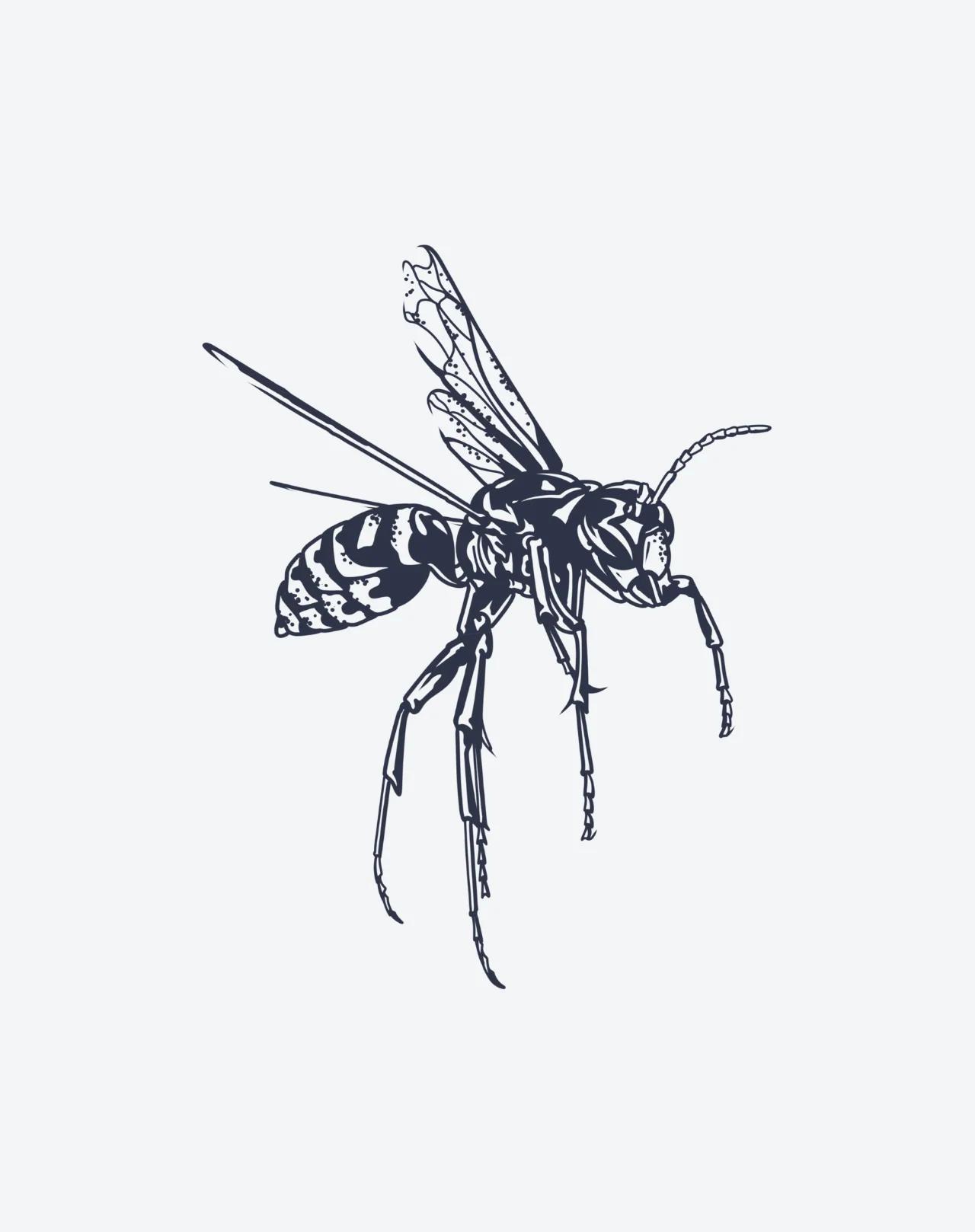 Wasp - Image 2